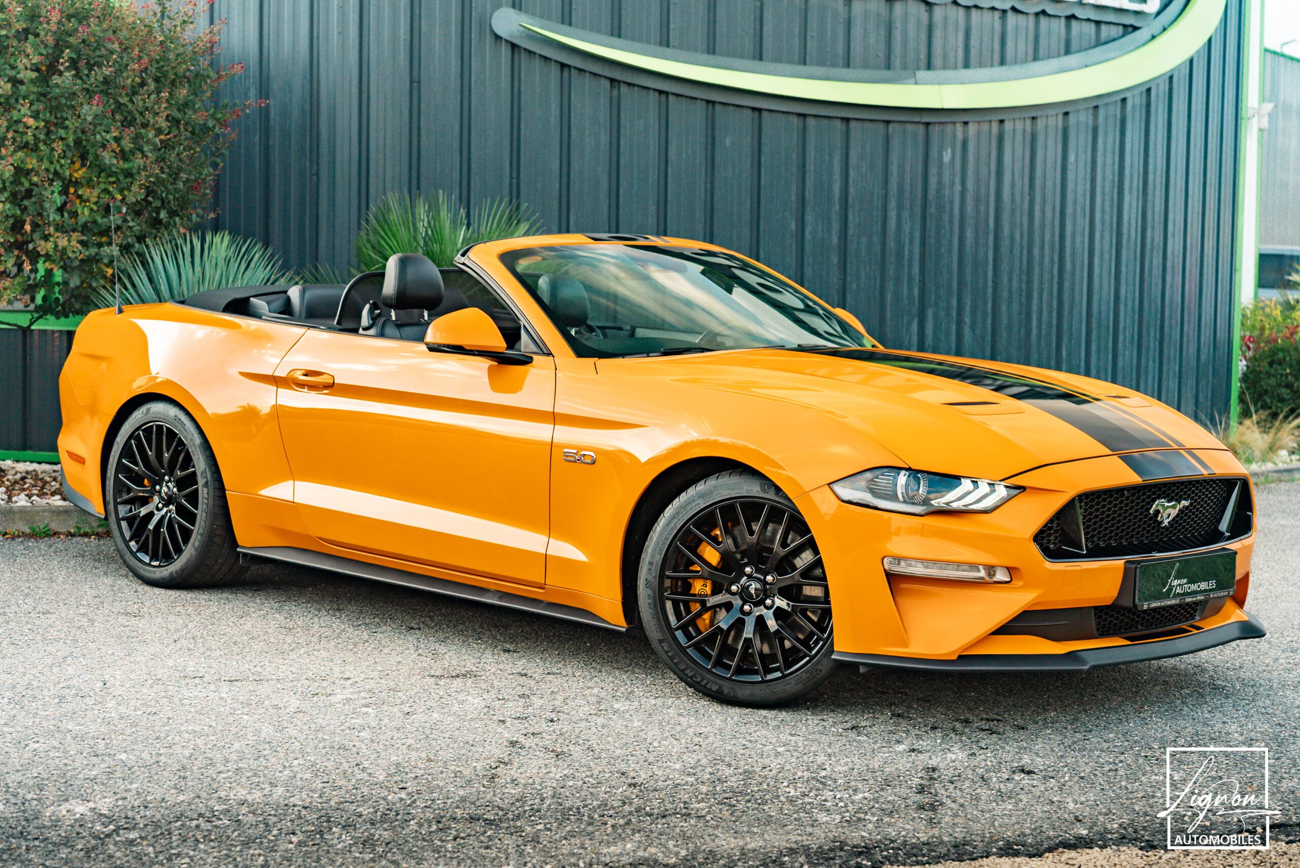 Photo Ford Mustang Cabriolet Gt 5.0l V8 450 Bva10 Premium - Magneride