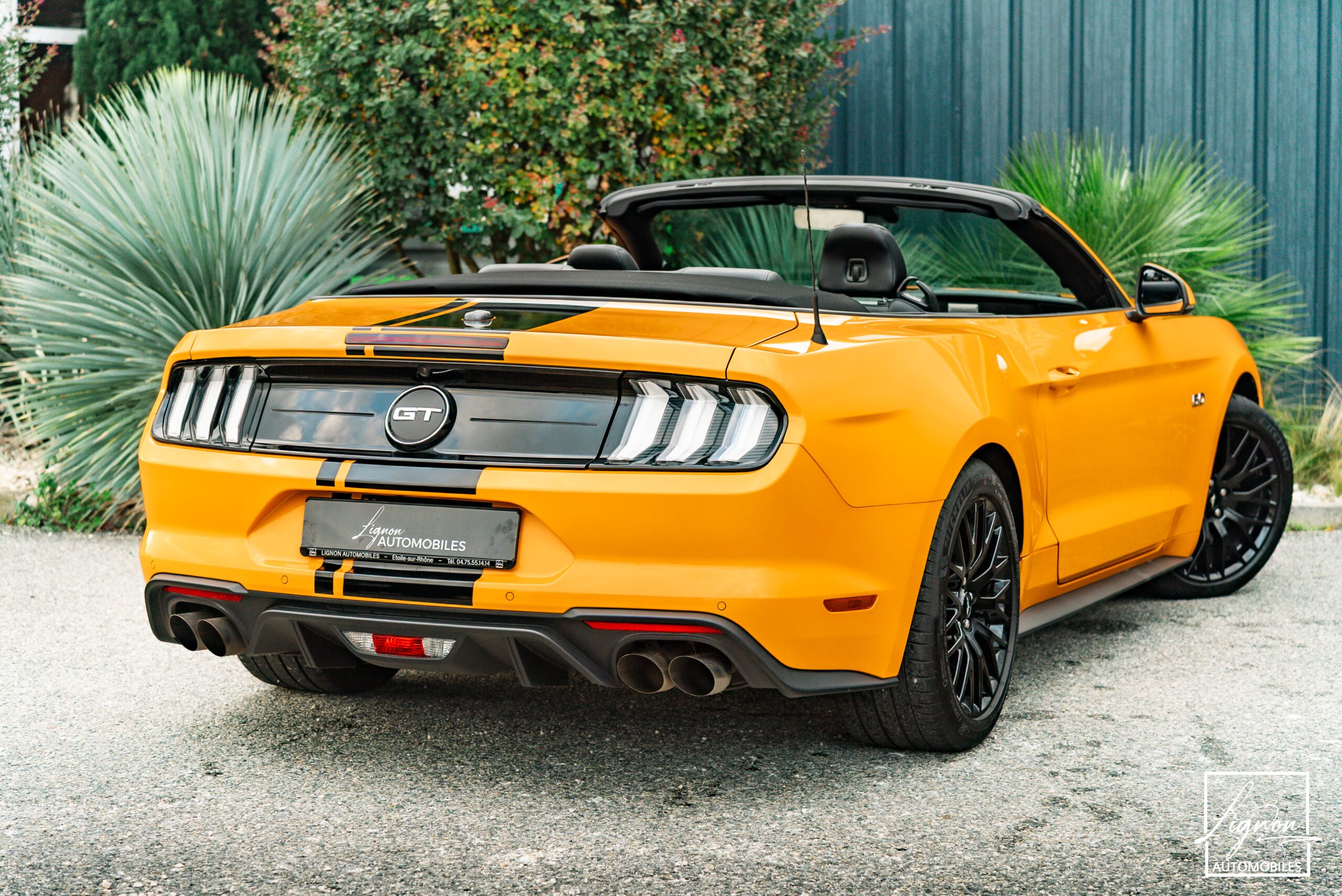 Photo Ford Mustang Cabriolet Gt 5.0l V8 450 Bva10 Premium - Magneride