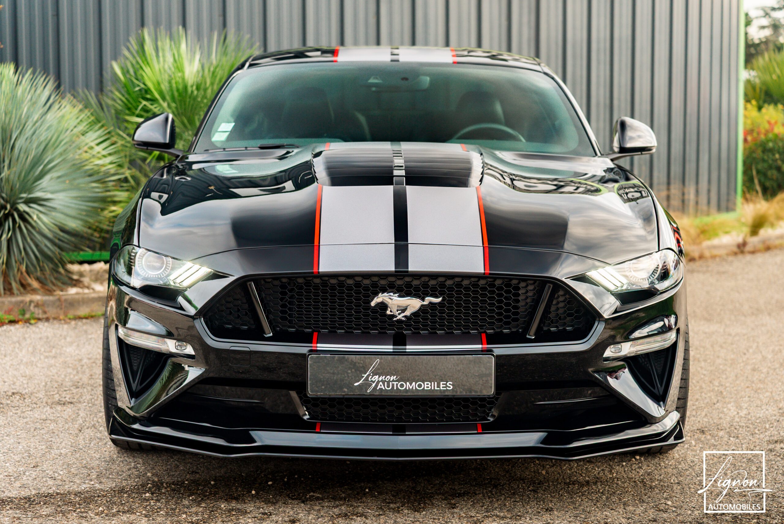 Photo Ford Mustang Fastback GT 5.0L V8 450CH BVM - Origine France