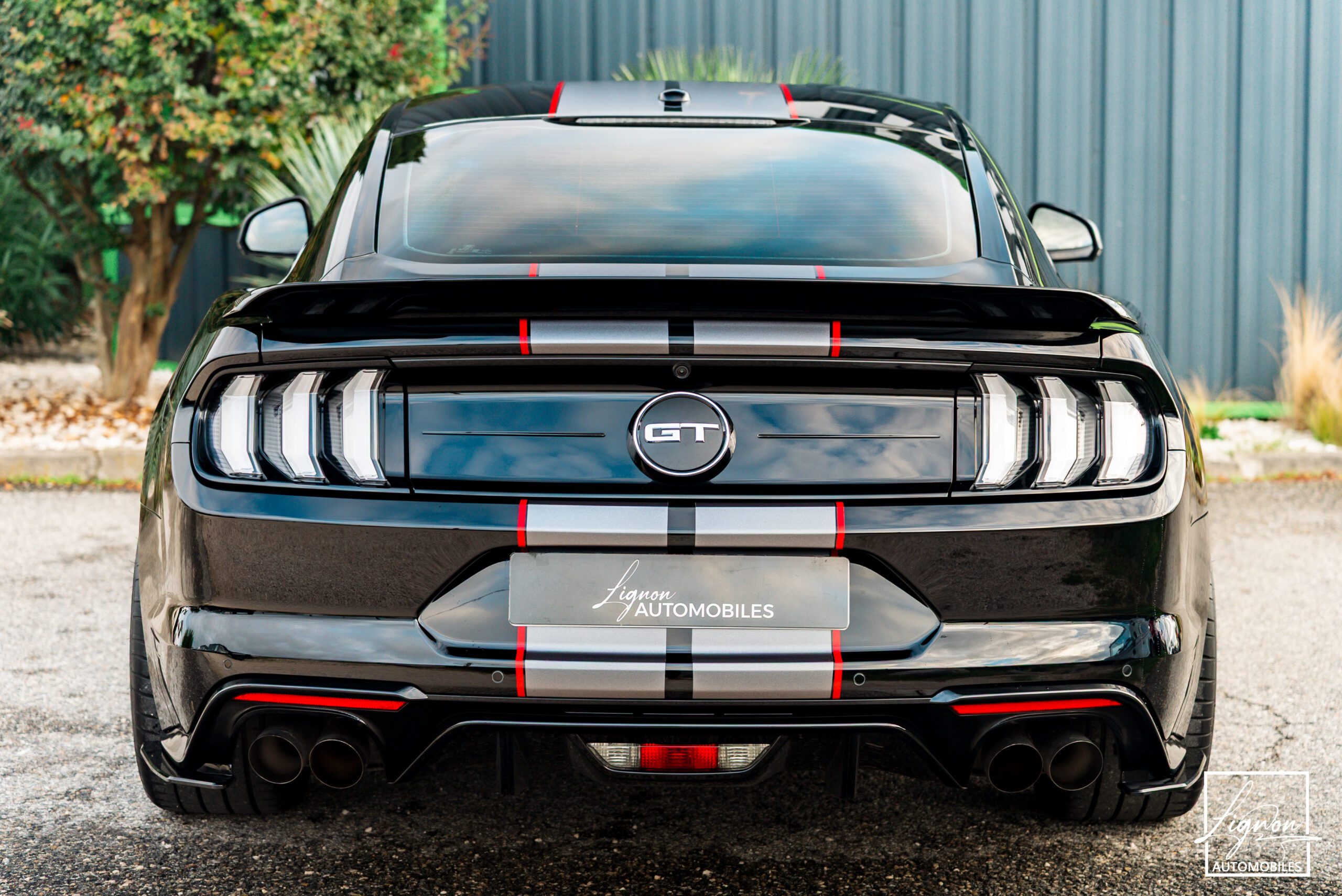 Photo Ford Mustang Fastback GT 5.0L V8 450CH BVM - Origine France