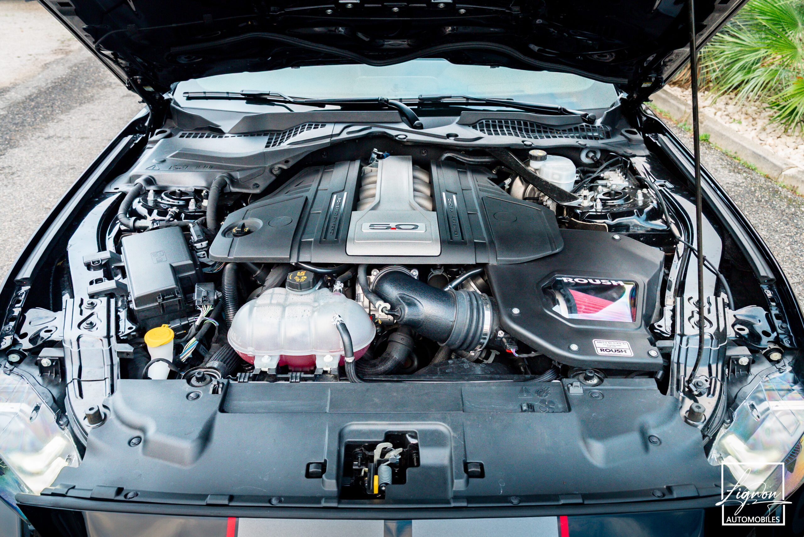 Photo Ford Mustang Fastback GT 5.0L V8 450CH BVM - Origine France