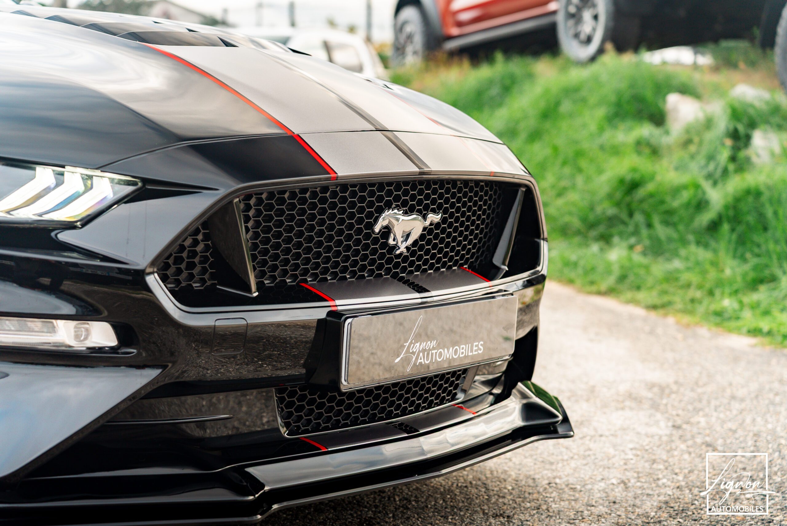 Photo Ford Mustang Fastback GT 5.0L V8 450CH BVM - Origine France