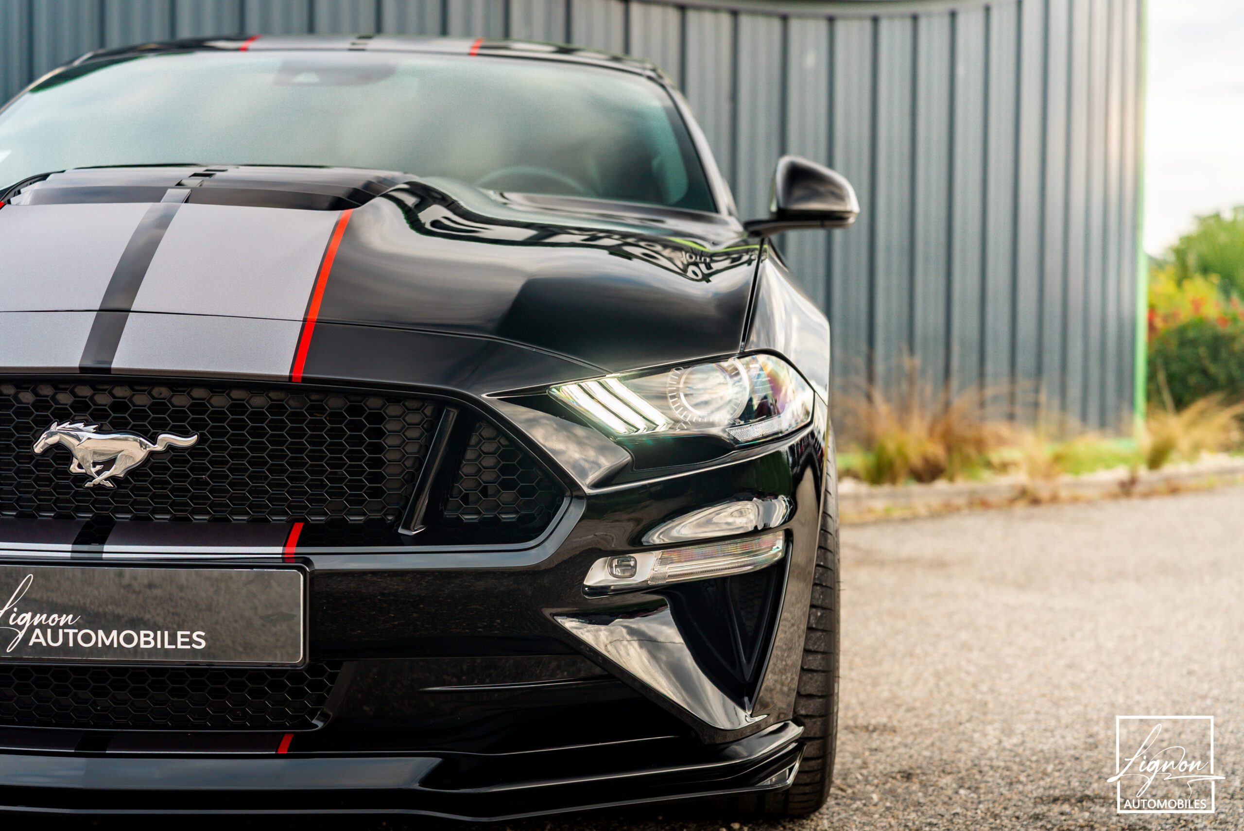 Photo Ford Mustang Fastback GT 5.0L V8 450CH BVM - Origine France