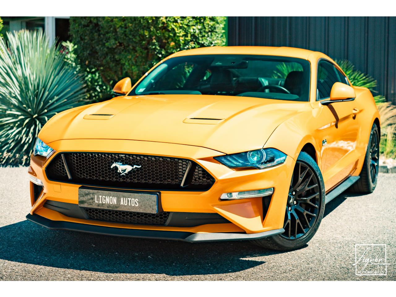 Photo FORD MUSTANG Fastback GT 5.0L V8 450CH BVM Fury B&O - 7.500km - PAS DE MALUS - à partir de 755 euros