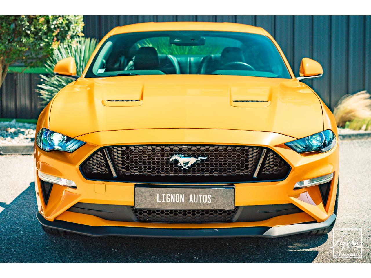 Photo FORD MUSTANG Fastback GT 5.0L V8 450CH BVM Fury B&O - 7.500km - PAS DE MALUS - à partir de 755 euros
