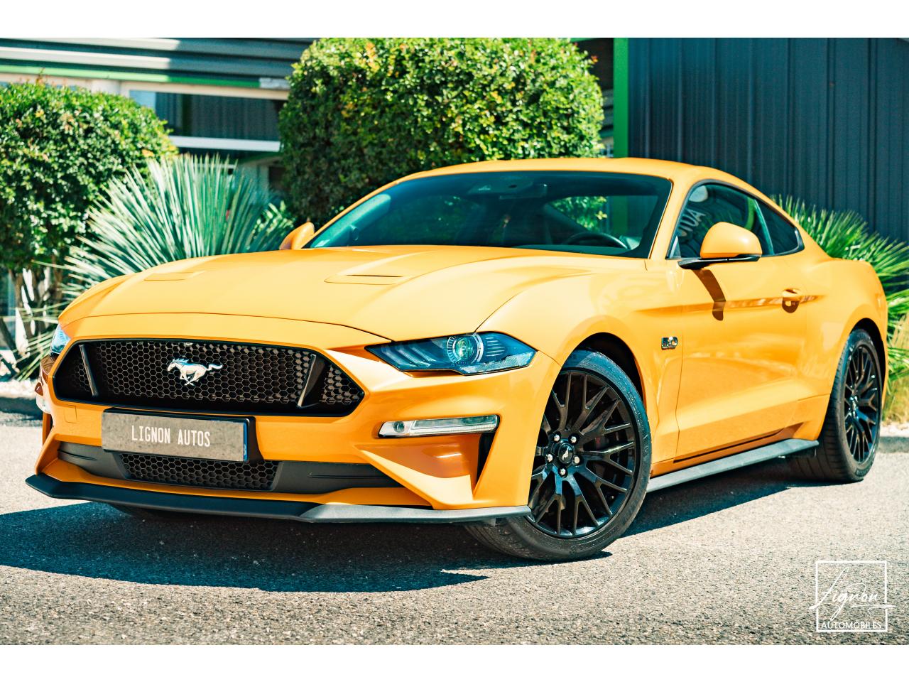 Photo FORD MUSTANG Fastback GT 5.0L V8 450CH BVM Fury B&O - 7.500km - PAS DE MALUS - à partir de 755 euros