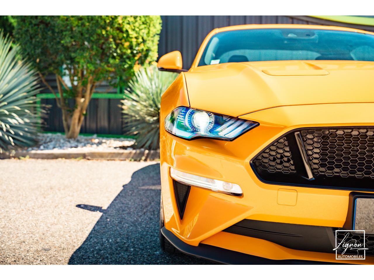 Photo FORD MUSTANG Fastback GT 5.0L V8 450CH BVM Fury B&O - 7.500km - PAS DE MALUS - à partir de 755 euros