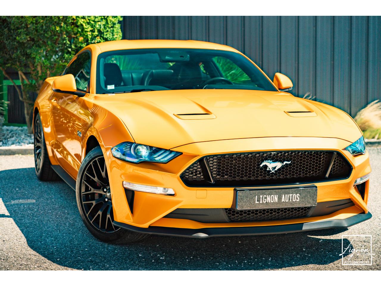 Photo FORD MUSTANG Fastback GT 5.0L V8 450CH BVM Fury B&O - 7.500km - PAS DE MALUS - à partir de 755 euros