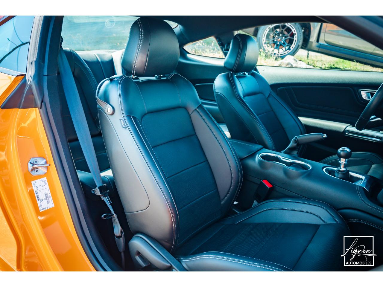 FORD MUSTANG Fastback GT 5.0L V8 450CH BVM Fury B&O - 7.500km - PAS DE MALUS - à partir de 755 euros