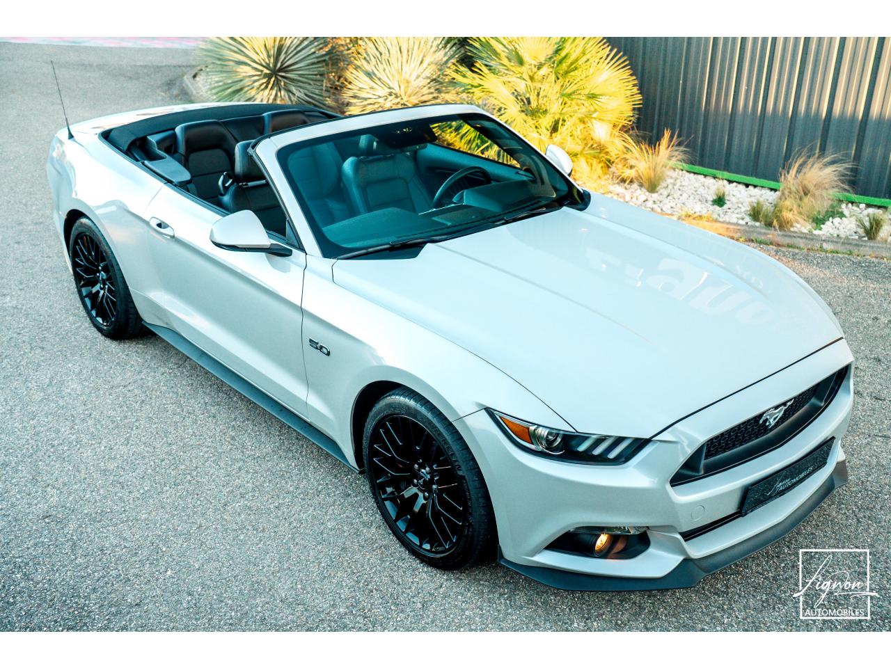 FORD MUSTANG GT Cabriolet 5.0L V8 421 CH BVM6 - Pack Premium