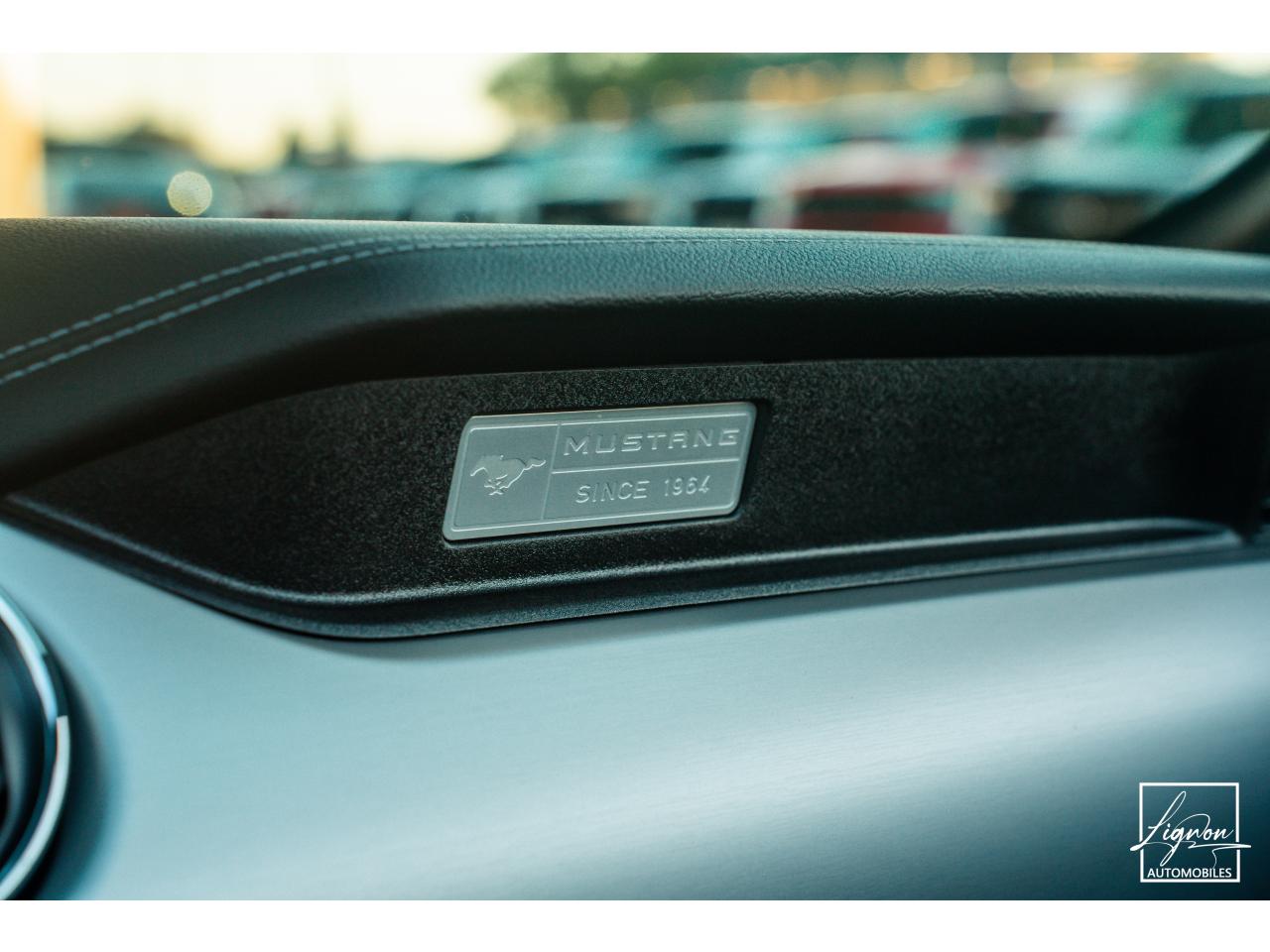 Photo FORD MUSTANG GT Cabriolet 5.0L V8 421 CH BVM6 - Pack Premium