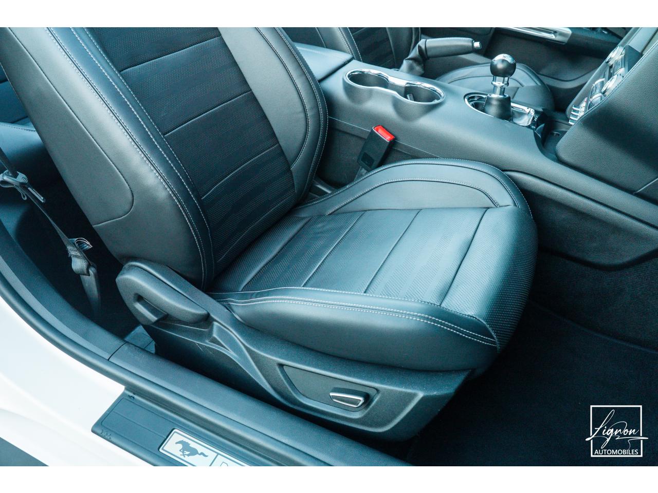 Photo FORD MUSTANG GT Cabriolet 5.0L V8 421 CH BVM6 - Pack Premium