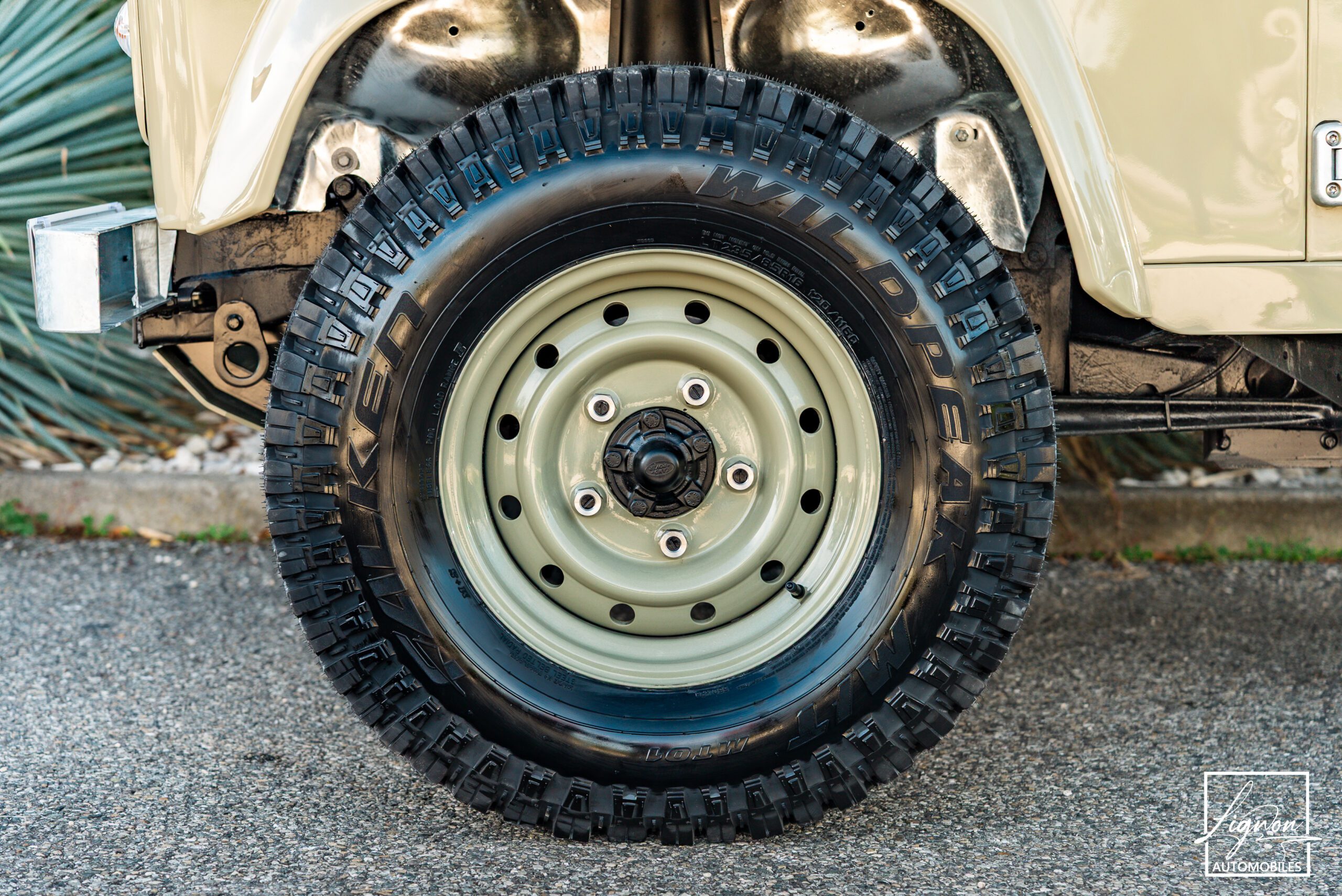 Photo Land Rover Defender 90 td5 "Daktari Beige"