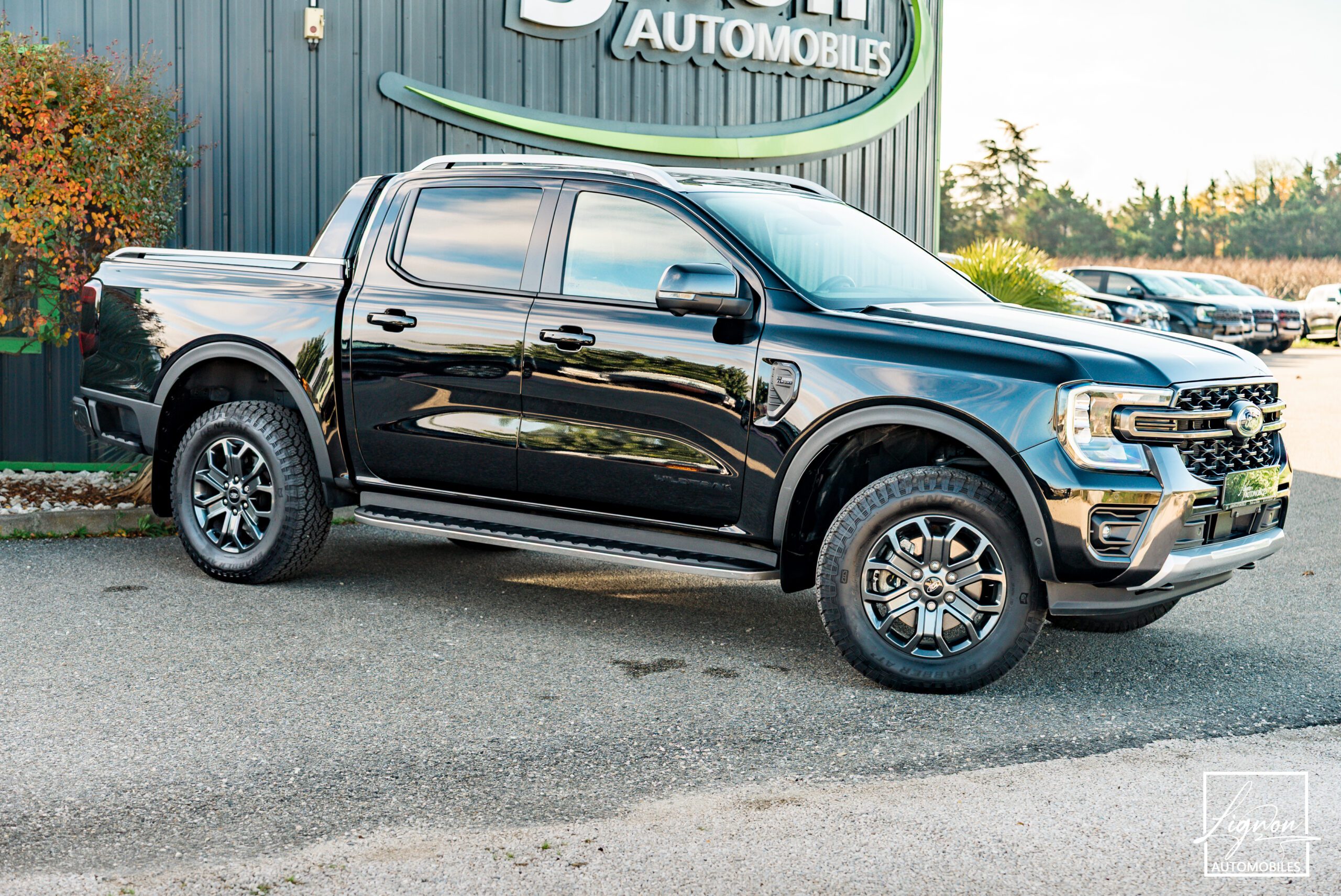 Ford Ranger Wildtrak Double Cabine 2.0 ECOBLUE 205 CH