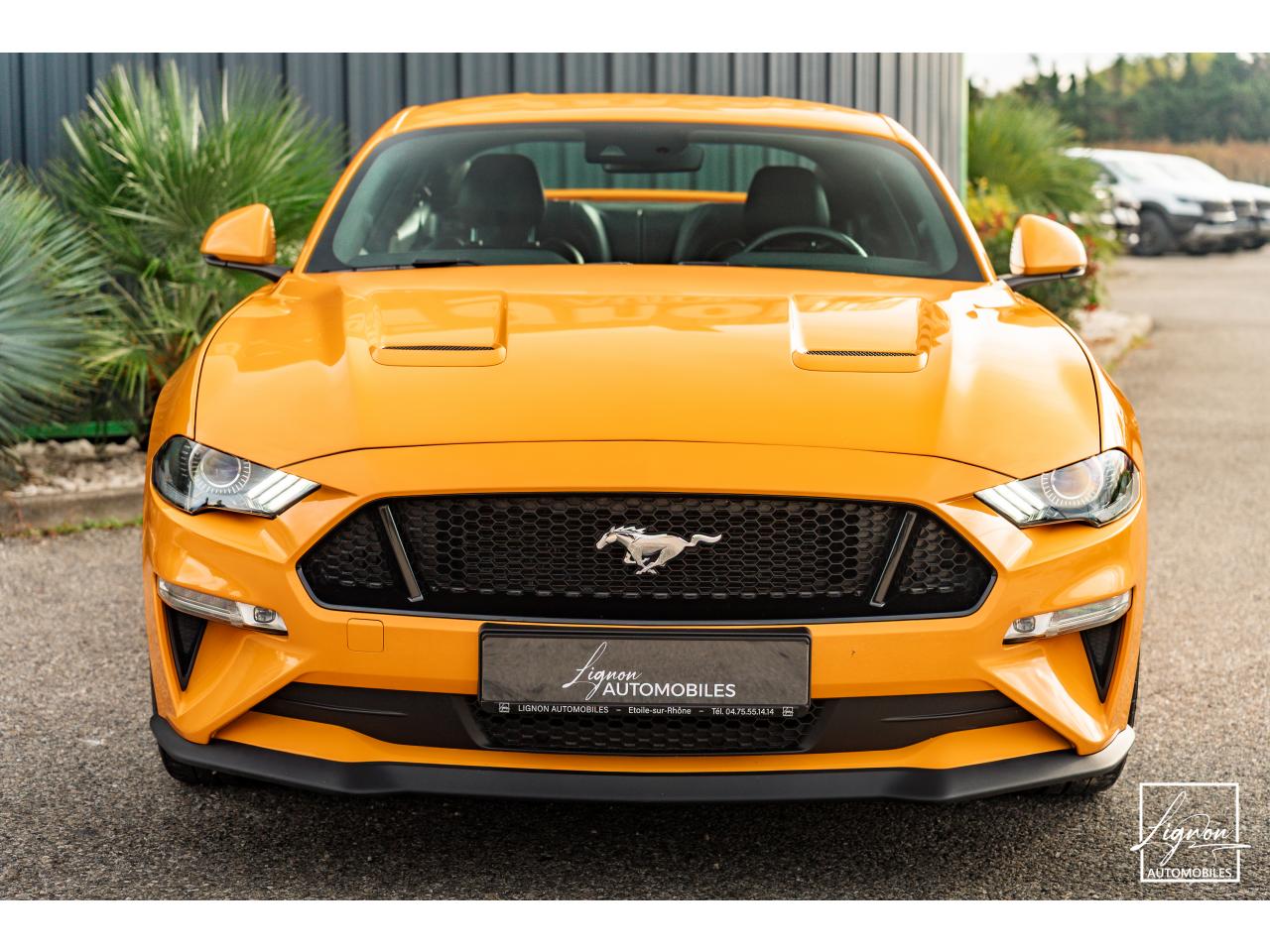 Photo FORD MUSTANG Fastback GT 5.0L V8 450 BVM6 - à partir de 713 euros