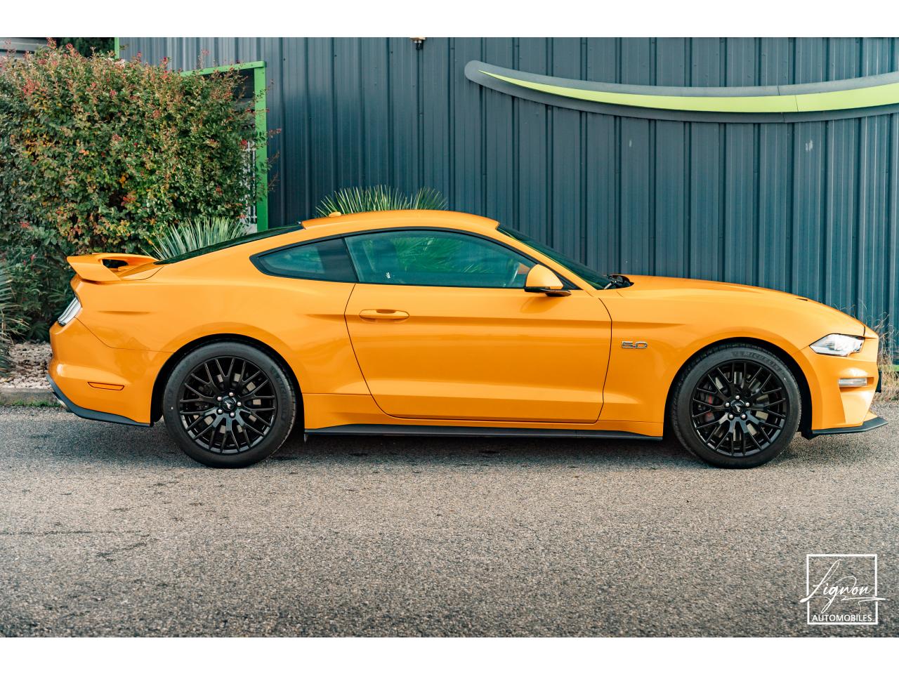Photo FORD MUSTANG Fastback GT 5.0L V8 450 BVM6 - à partir de 713 euros