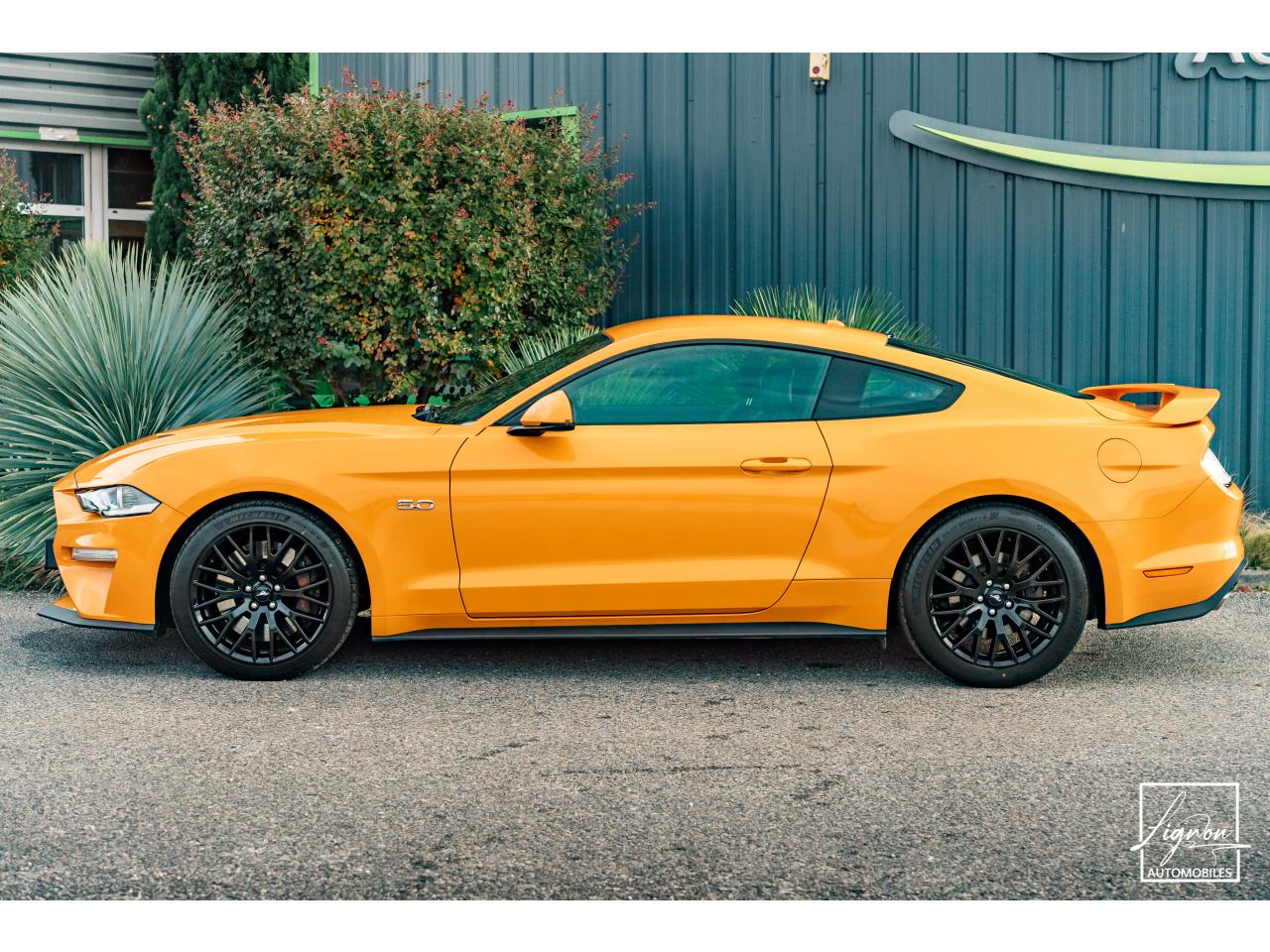 Photo FORD MUSTANG Fastback GT 5.0L V8 450 BVM6 - à partir de 713 euros