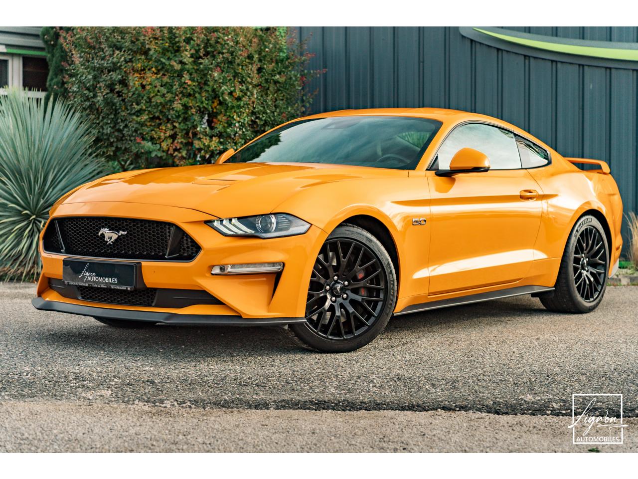Photo FORD MUSTANG Fastback GT 5.0L V8 450 BVM6 - à partir de 713 euros