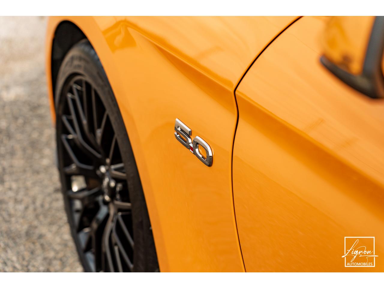 Photo FORD MUSTANG Fastback GT 5.0L V8 450 BVM6 - à partir de 713 euros