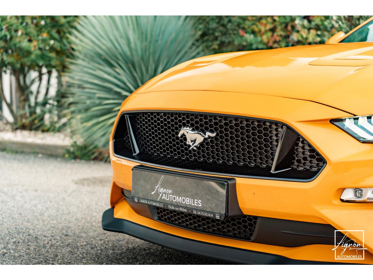 FORD MUSTANG Fastback GT 5.0L V8 450 BVM6 - à partir de 713 euros