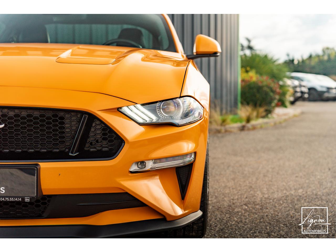 Photo FORD MUSTANG Fastback GT 5.0L V8 450 BVM6 - à partir de 713 euros