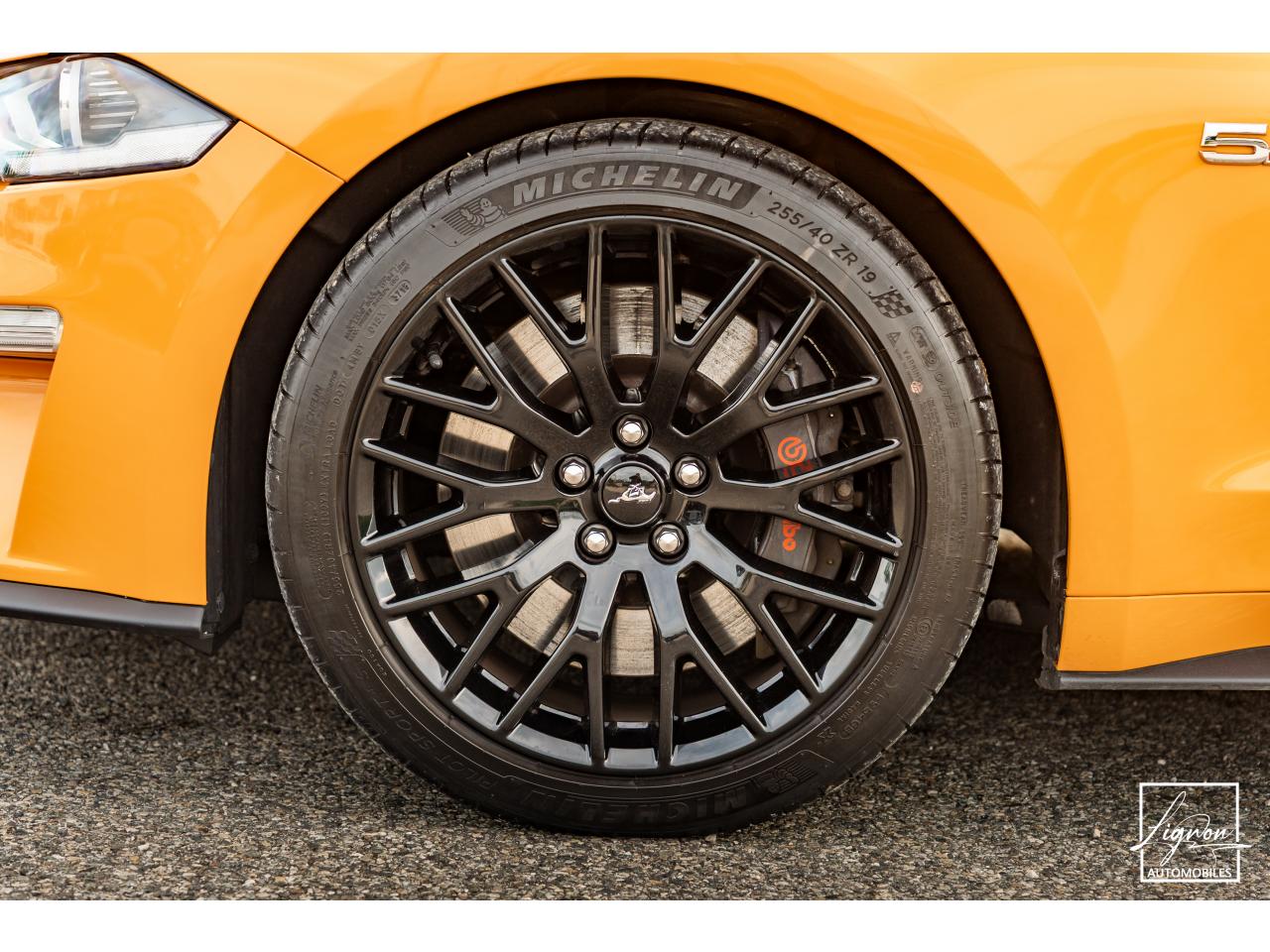 Photo FORD MUSTANG Fastback GT 5.0L V8 450 BVM6 - à partir de 713 euros