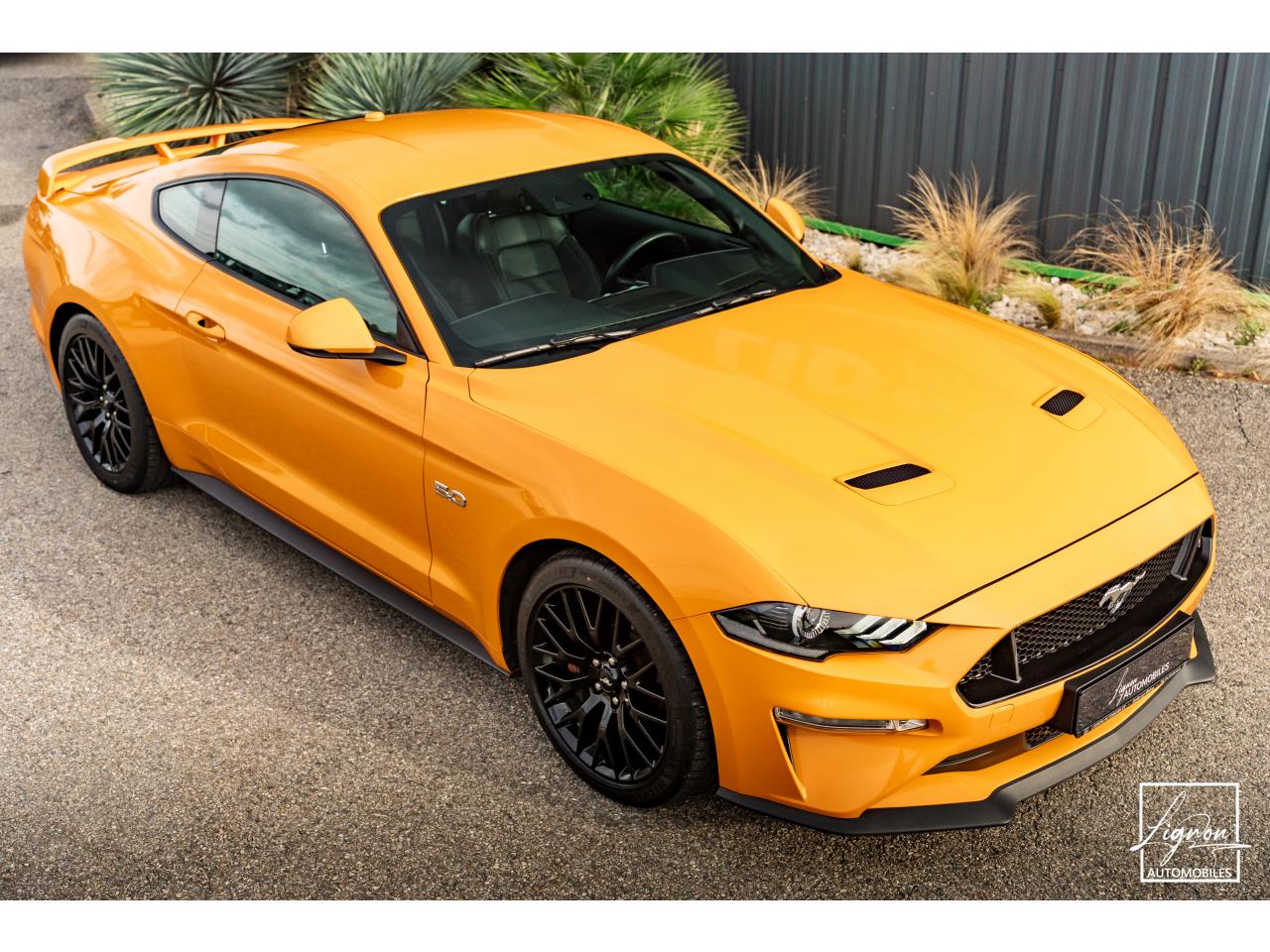 Photo FORD MUSTANG Fastback GT 5.0L V8 450 BVM6 - à partir de 713 euros