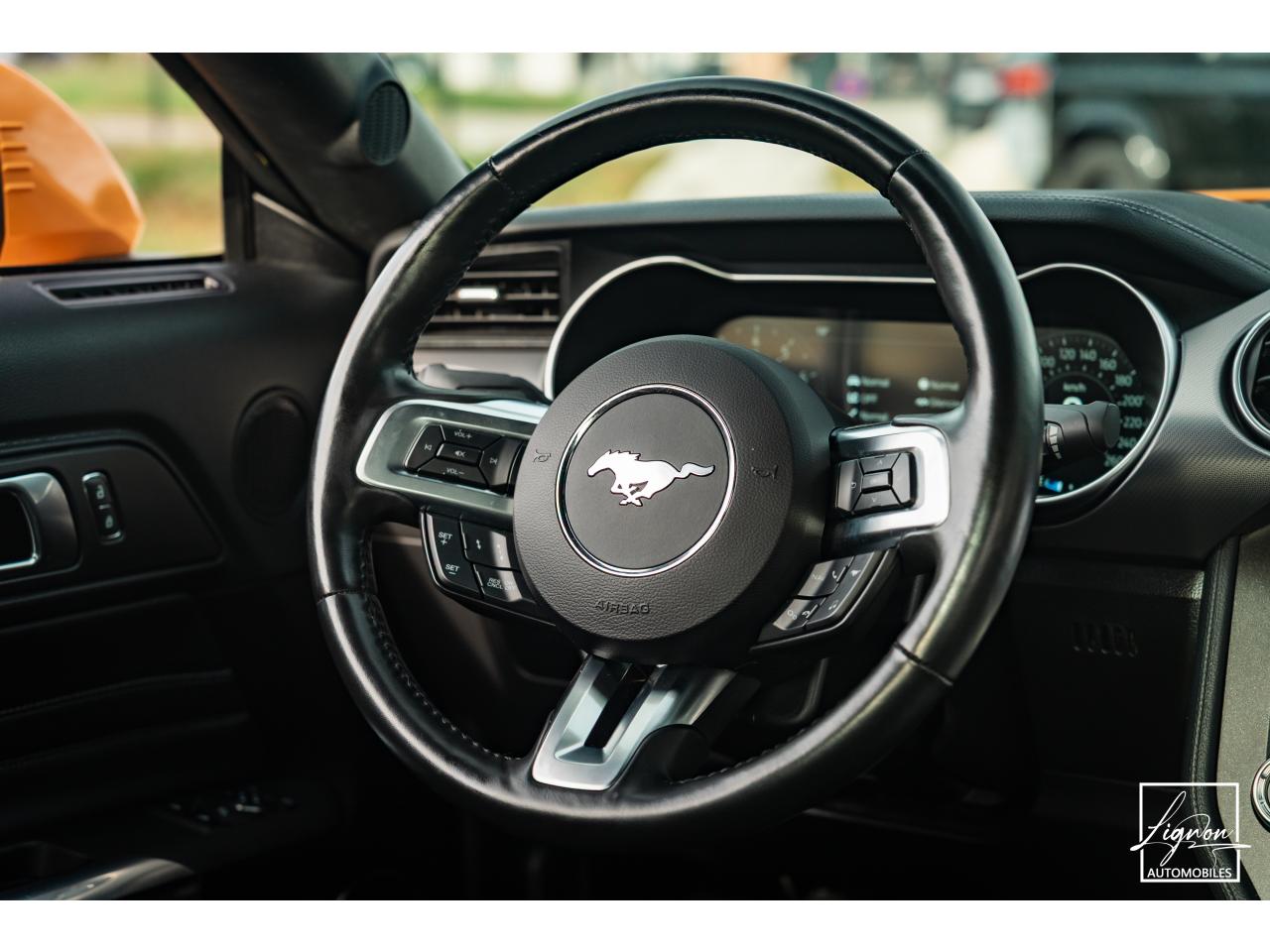 Photo FORD MUSTANG Fastback GT 5.0L V8 450 BVM6 - à partir de 713 euros
