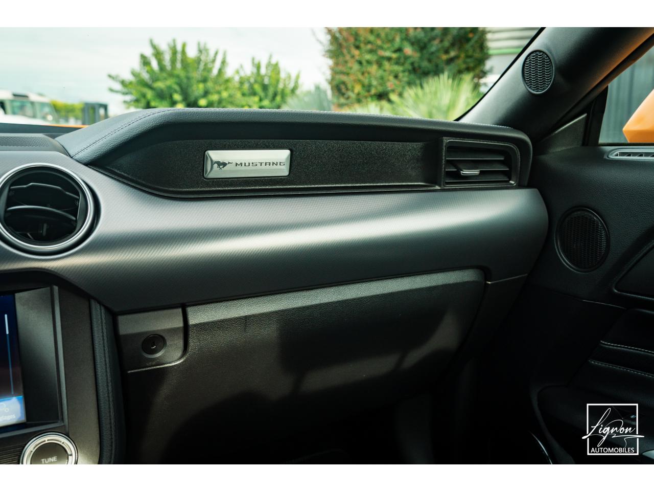 Photo FORD MUSTANG Fastback GT 5.0L V8 450 BVM6 - à partir de 713 euros