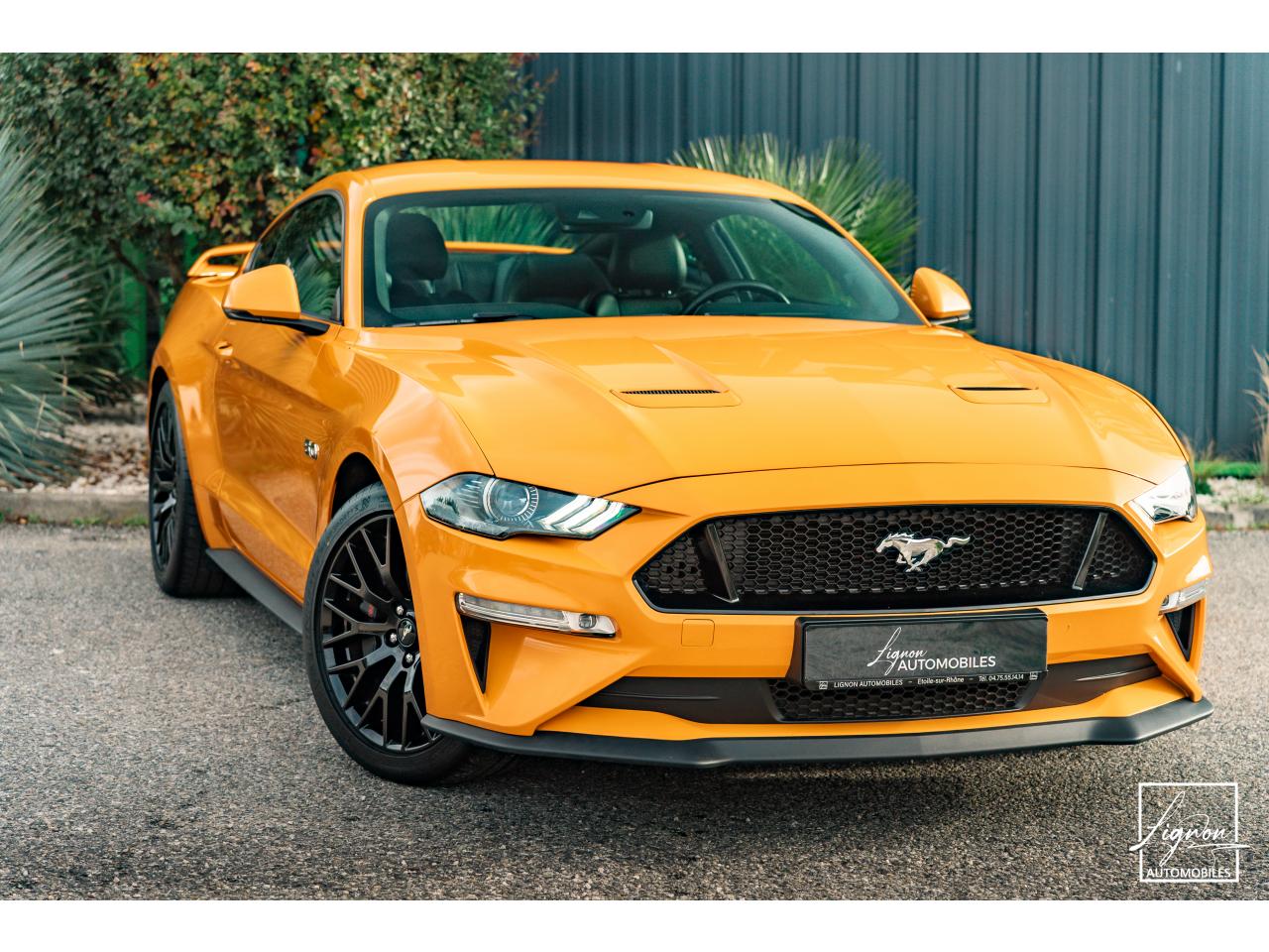 Photo FORD MUSTANG Fastback GT 5.0L V8 450 BVM6 - à partir de 713 euros