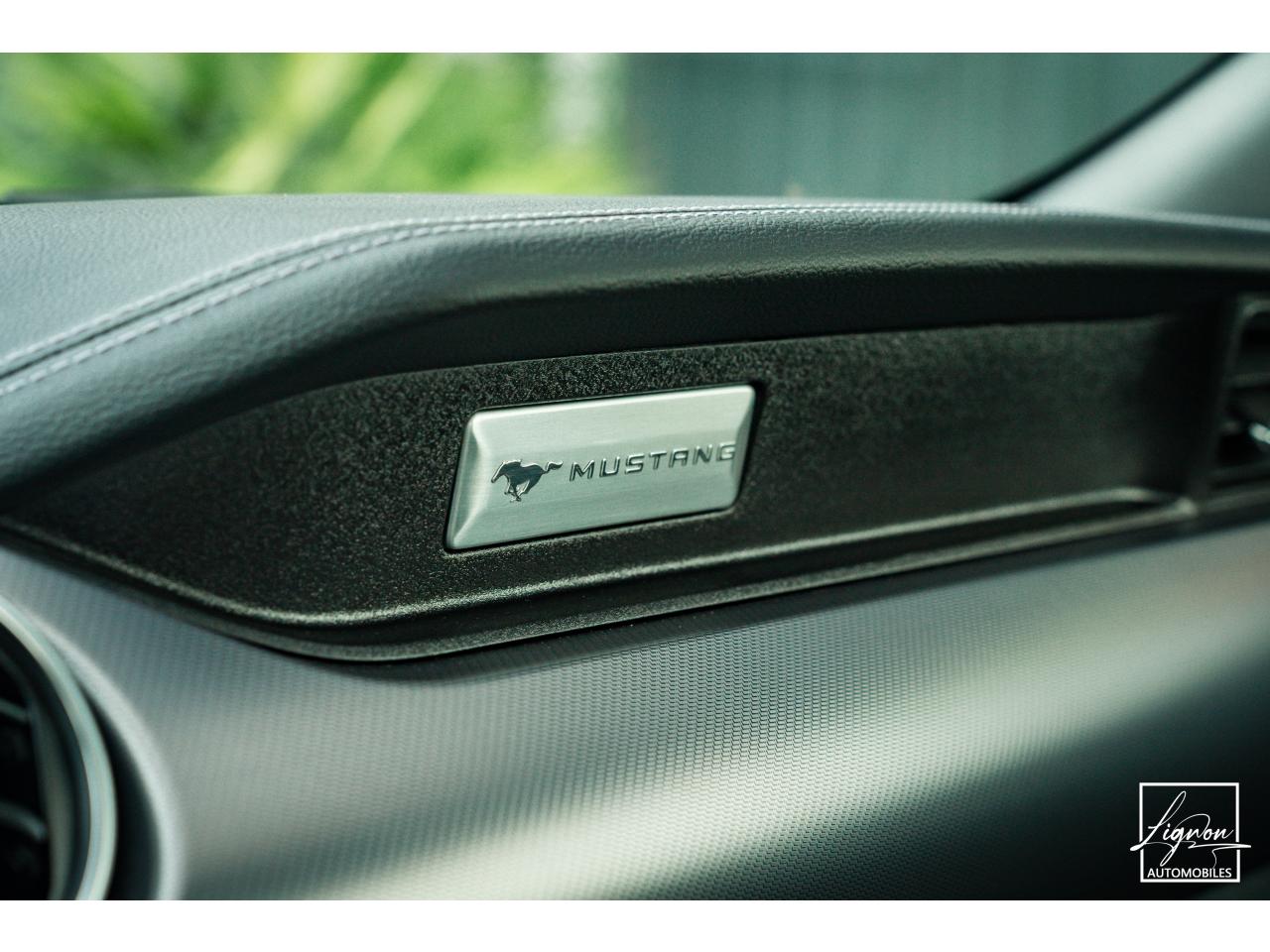 Photo FORD MUSTANG Fastback GT 5.0L V8 450 BVM6 - à partir de 713 euros