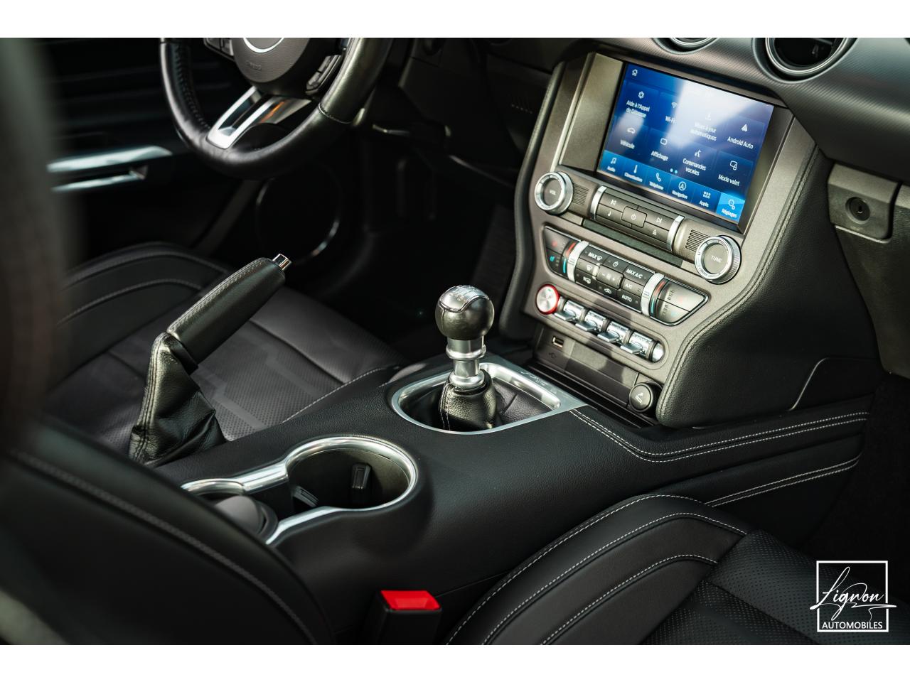 Photo FORD MUSTANG Fastback GT 5.0L V8 450 BVM6 - à partir de 713 euros