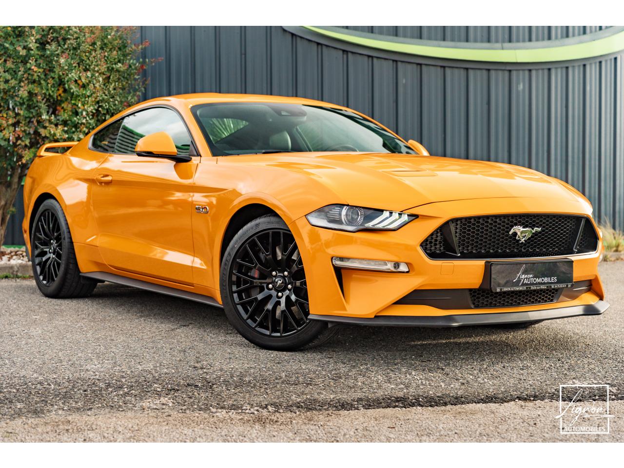 Photo FORD MUSTANG Fastback GT 5.0L V8 450 BVM6 - à partir de 713 euros