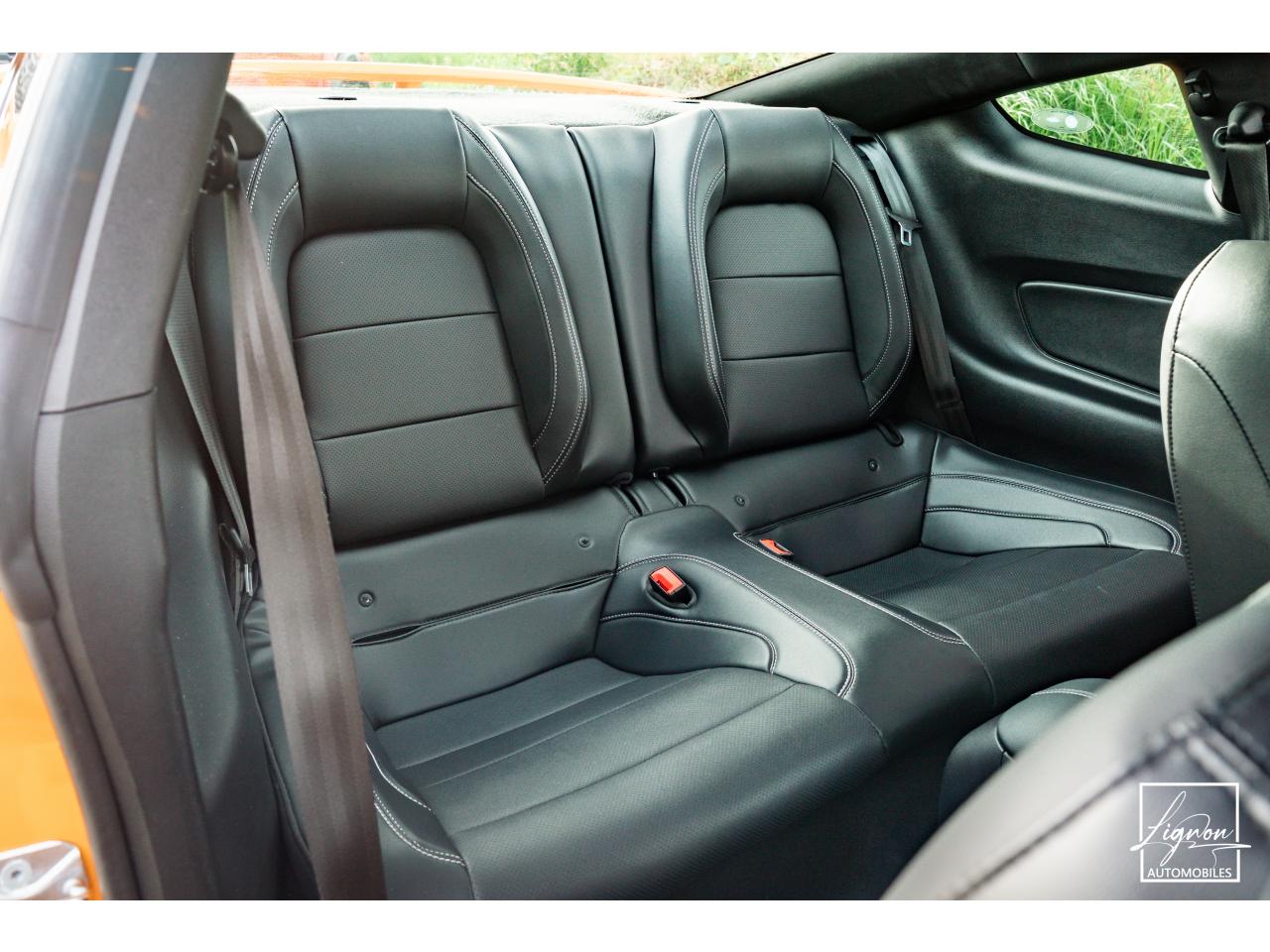 Photo FORD MUSTANG Fastback GT 5.0L V8 450 BVM6 - à partir de 713 euros