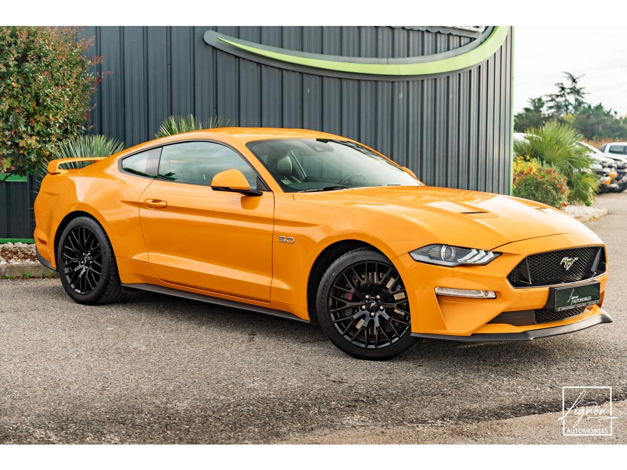 Photo FORD MUSTANG Fastback GT 5.0L V8 450 BVM6 - à partir de 713 euros