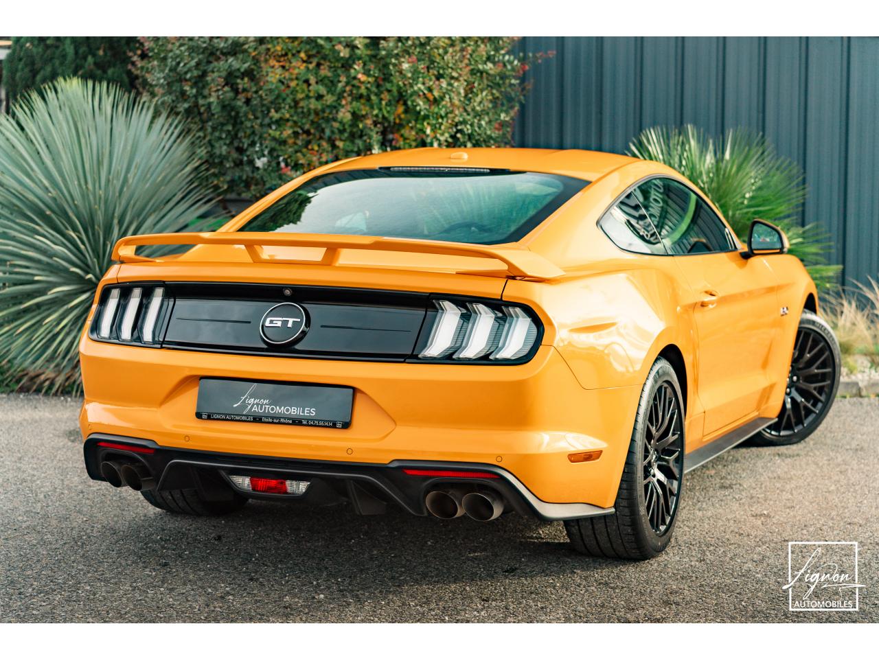Photo FORD MUSTANG Fastback GT 5.0L V8 450 BVM6 - à partir de 713 euros