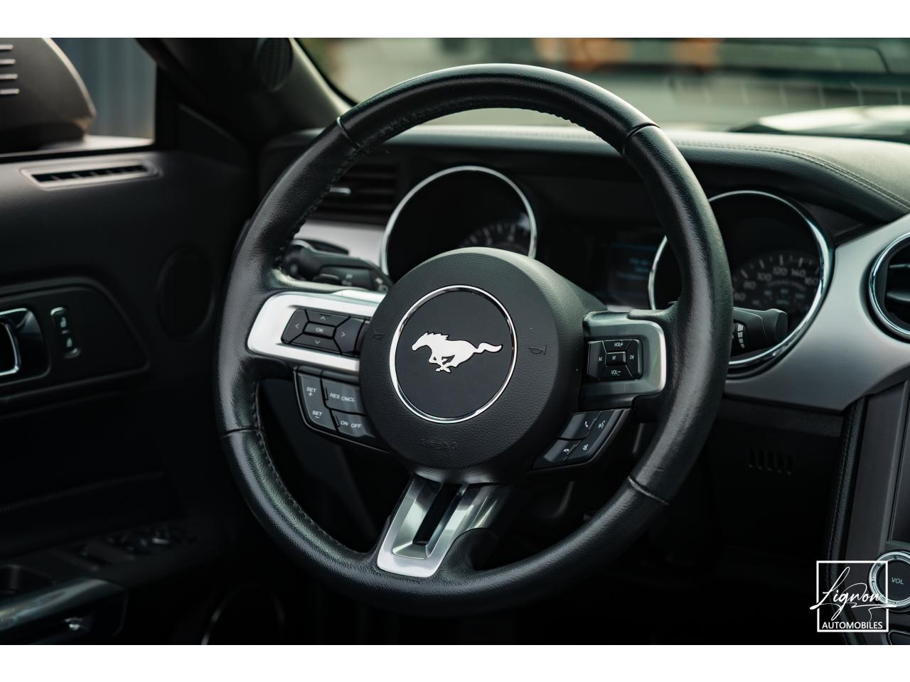 Photo FORD MUSTANG GT Cabriolet 5.0L V8 421 CH BVA6 - Pack Premium