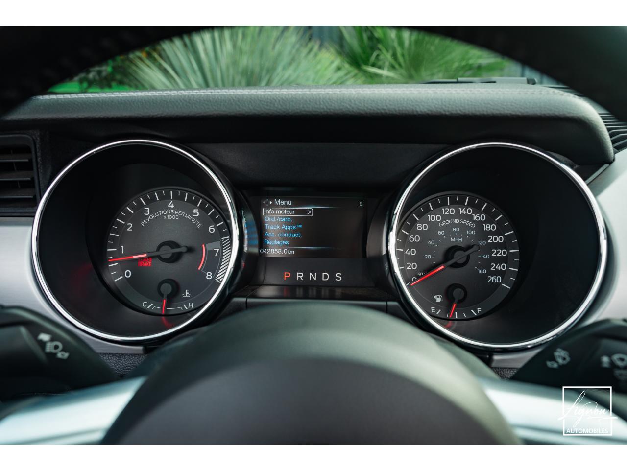 Photo FORD MUSTANG GT Cabriolet 5.0L V8 421 CH BVA6 - Pack Premium