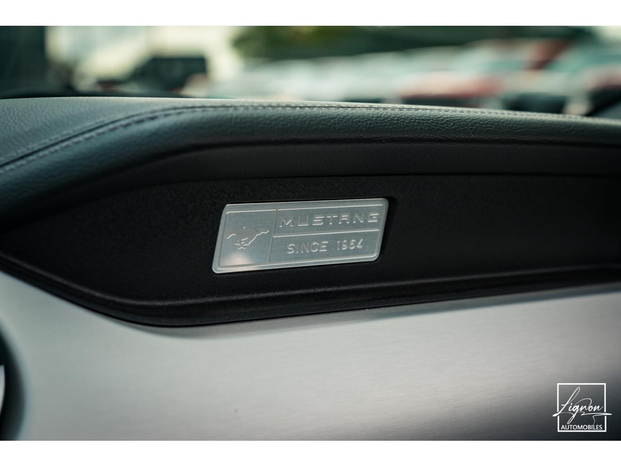 Photo FORD MUSTANG GT Cabriolet 5.0L V8 421 CH BVA6 - Pack Premium