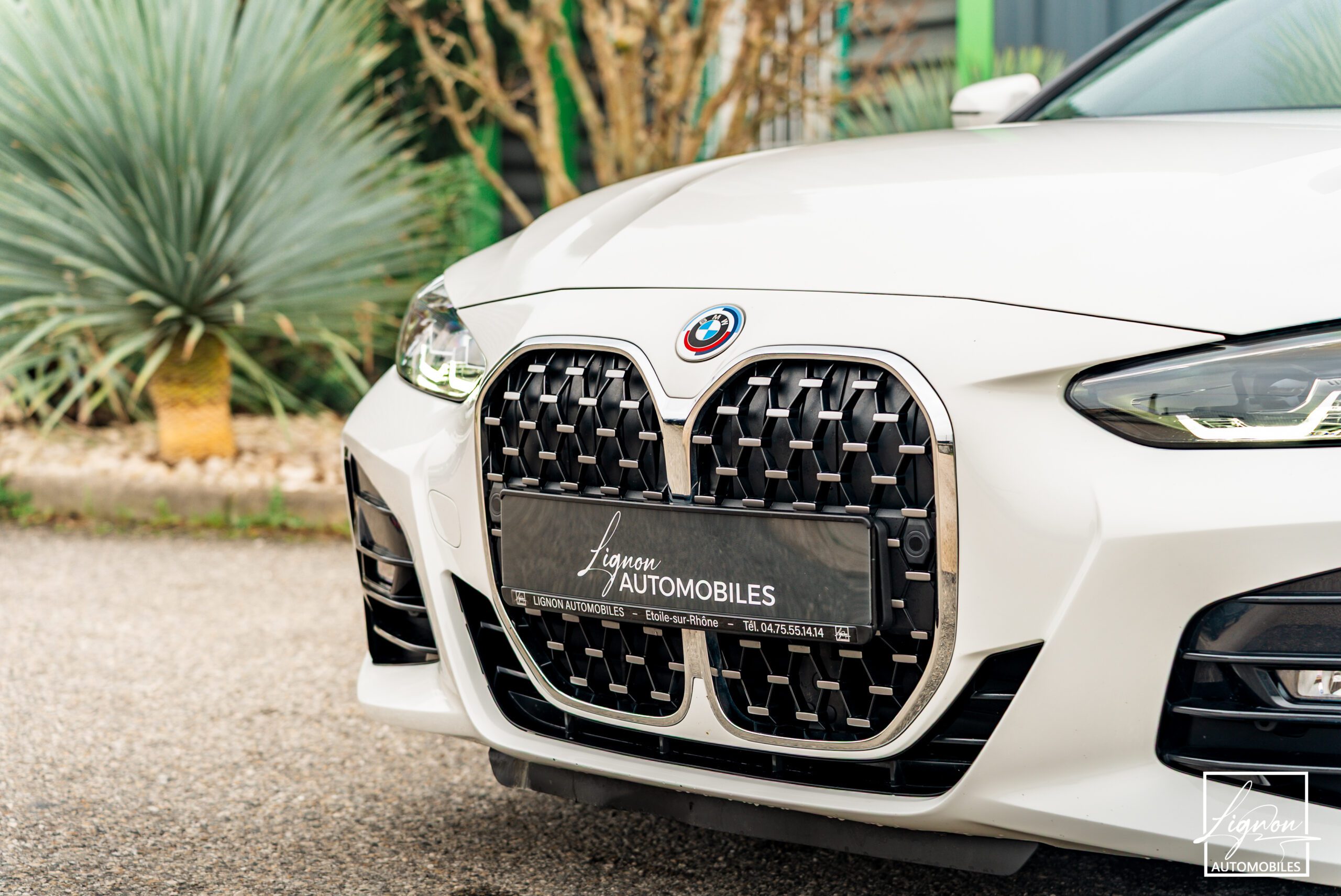 Photo BMW Série 4 Cabriolet (G23) 430i 245 CH M Sport