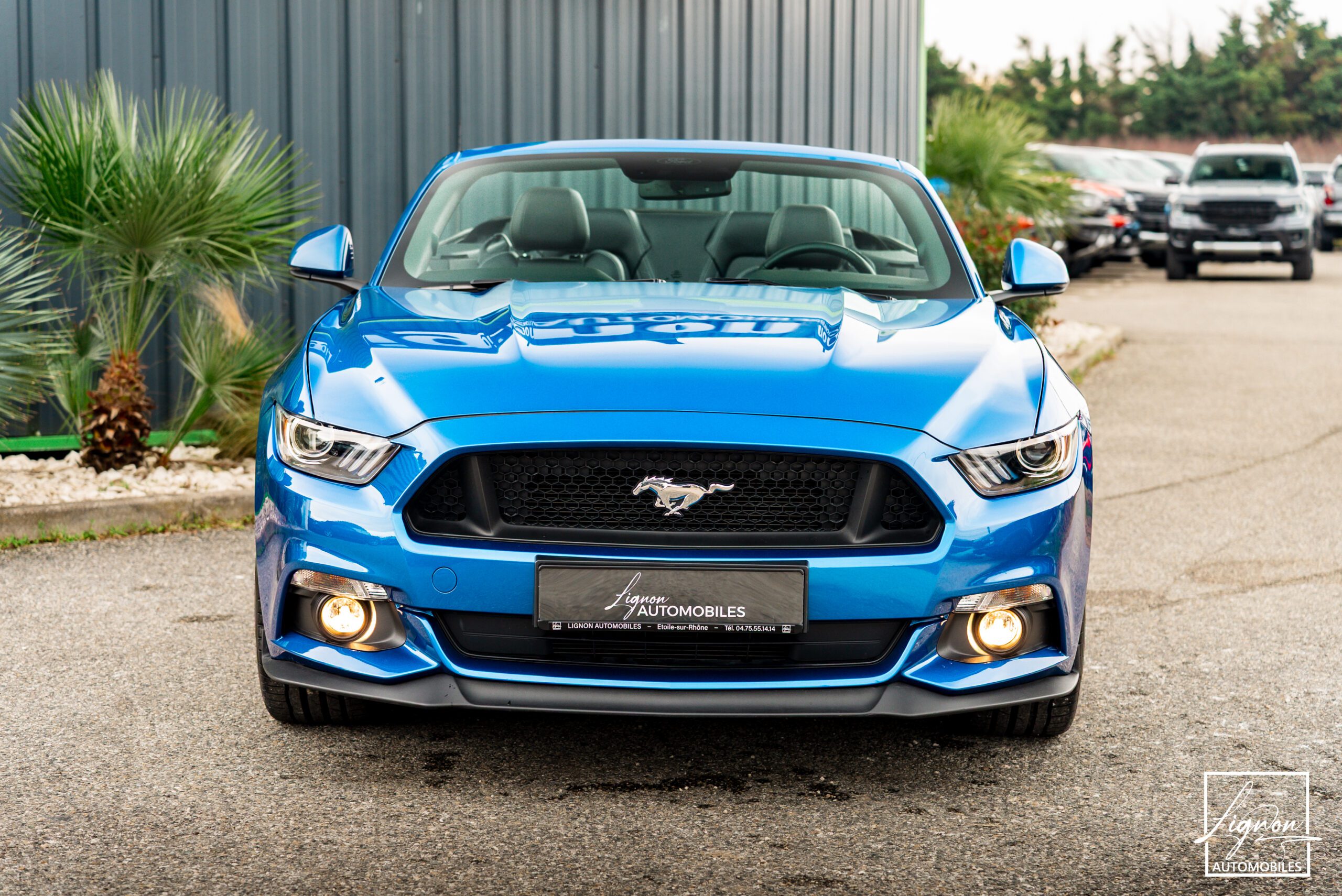 Photo FORD MUSTANG Cabriolet 5.0 v8 GT 421 ch BVA6 - Premium - 1er Main 9 800km seulement !