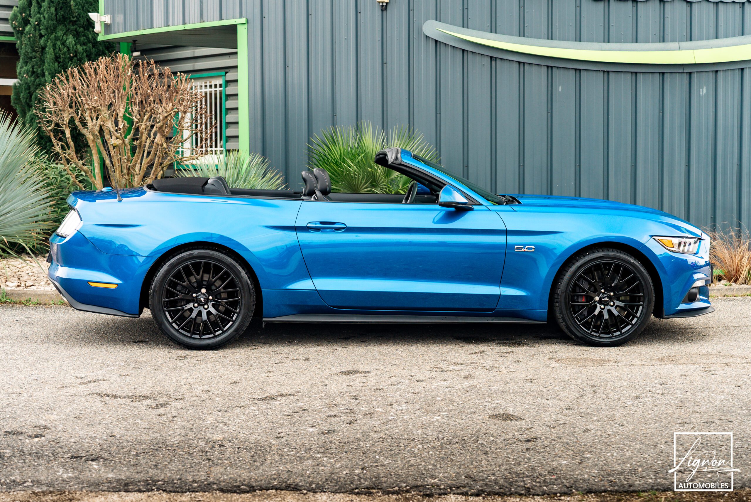 Photo FORD MUSTANG Cabriolet 5.0 v8 GT 421 ch BVA6 - Premium - 1er Main 9 800km seulement !