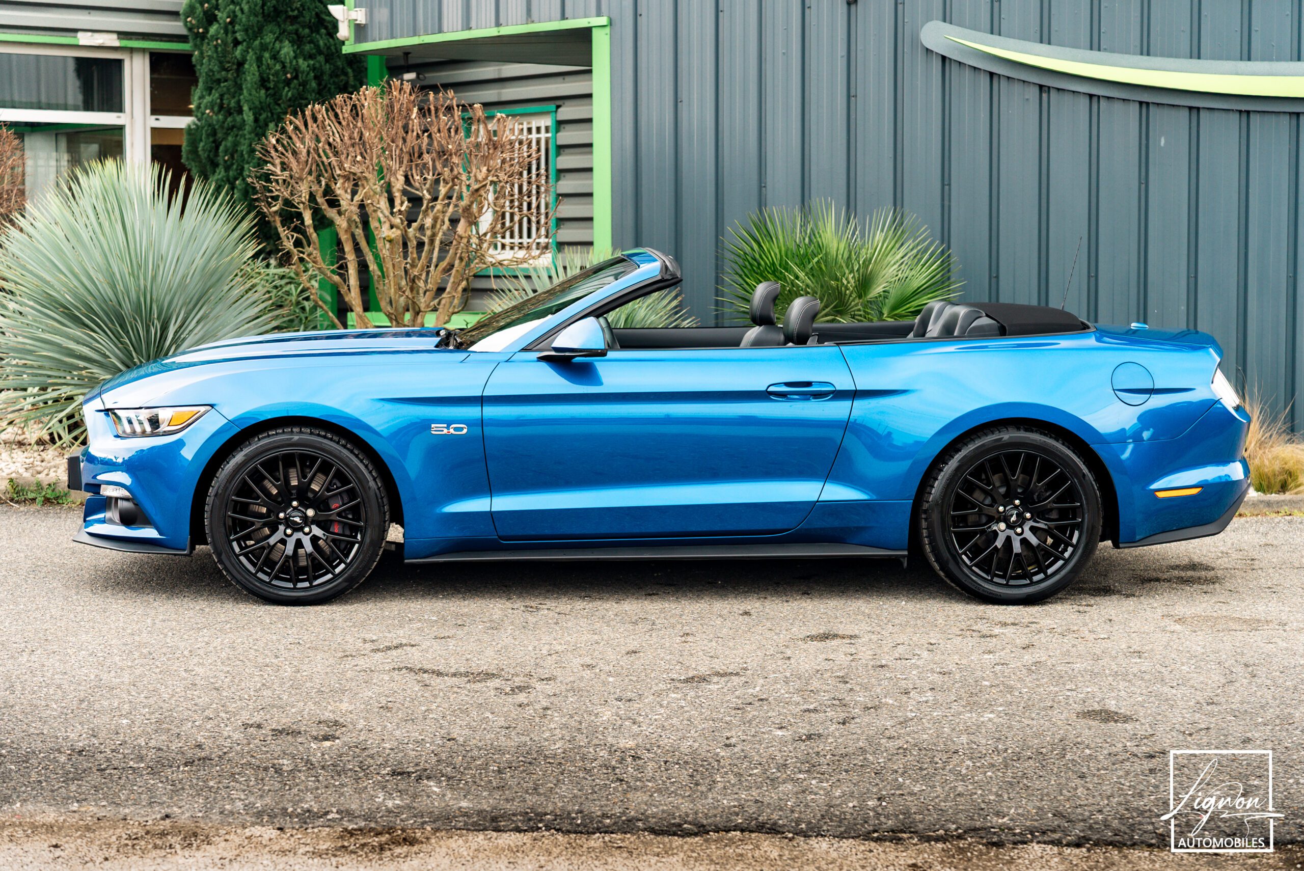 Photo FORD MUSTANG Cabriolet 5.0 v8 GT 421 ch BVA6 - Premium - 1er Main 9 800km seulement !