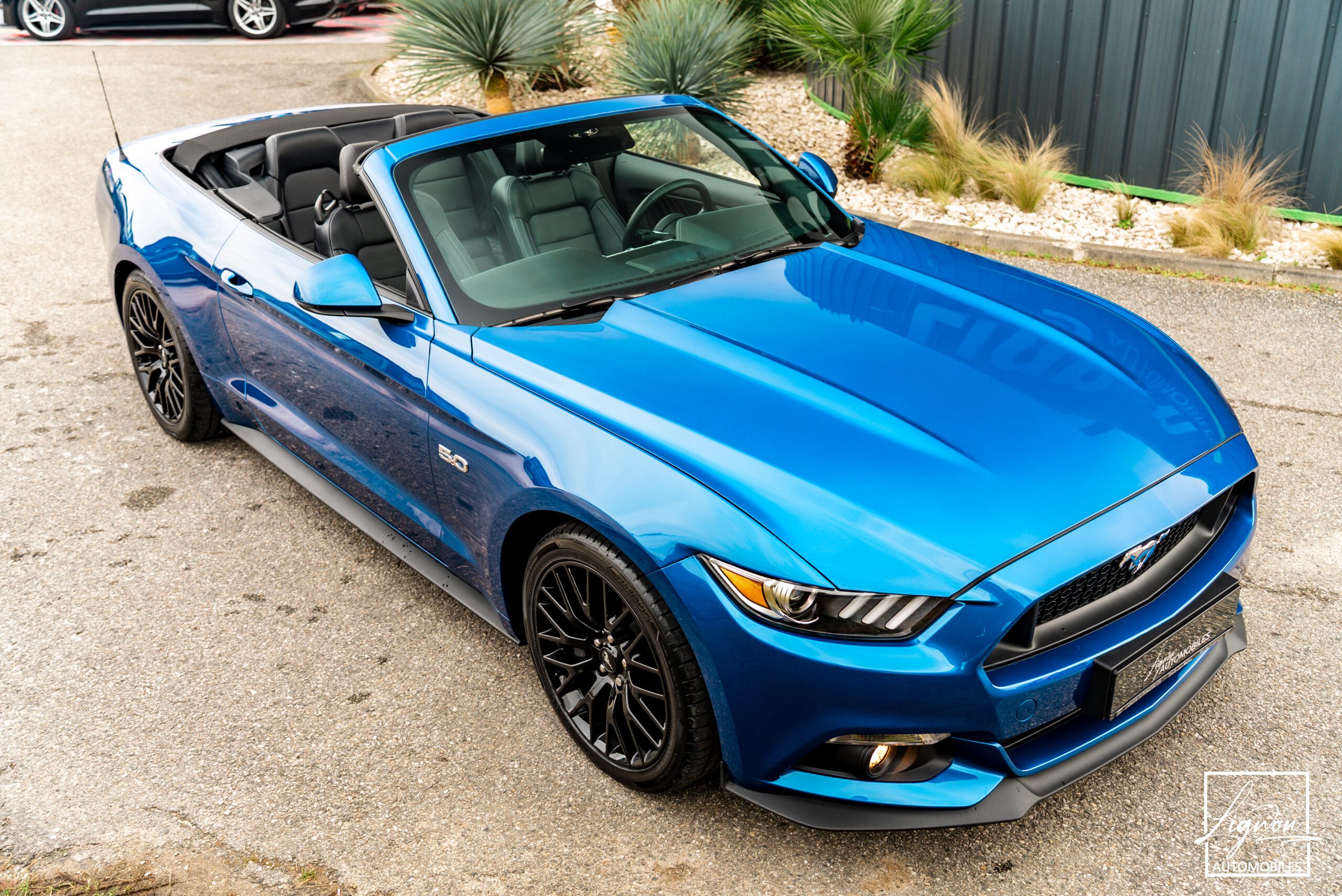 Photo FORD MUSTANG Cabriolet 5.0 v8 GT 421 ch BVA6 - Premium - 1er Main 9 800km seulement !