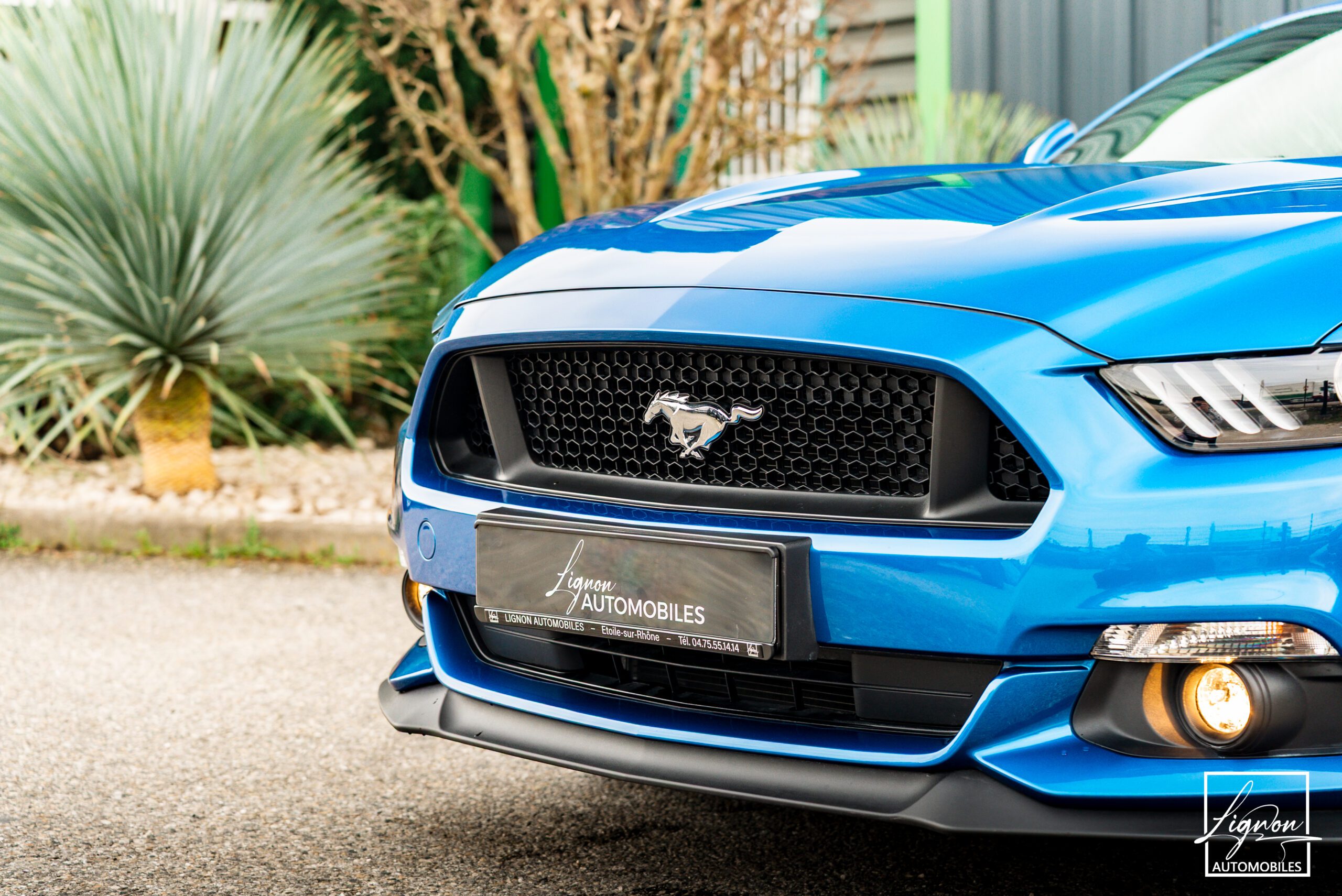 Photo FORD MUSTANG Cabriolet 5.0 v8 GT 421 ch BVA6 - Premium - 1er Main 9 800km seulement !