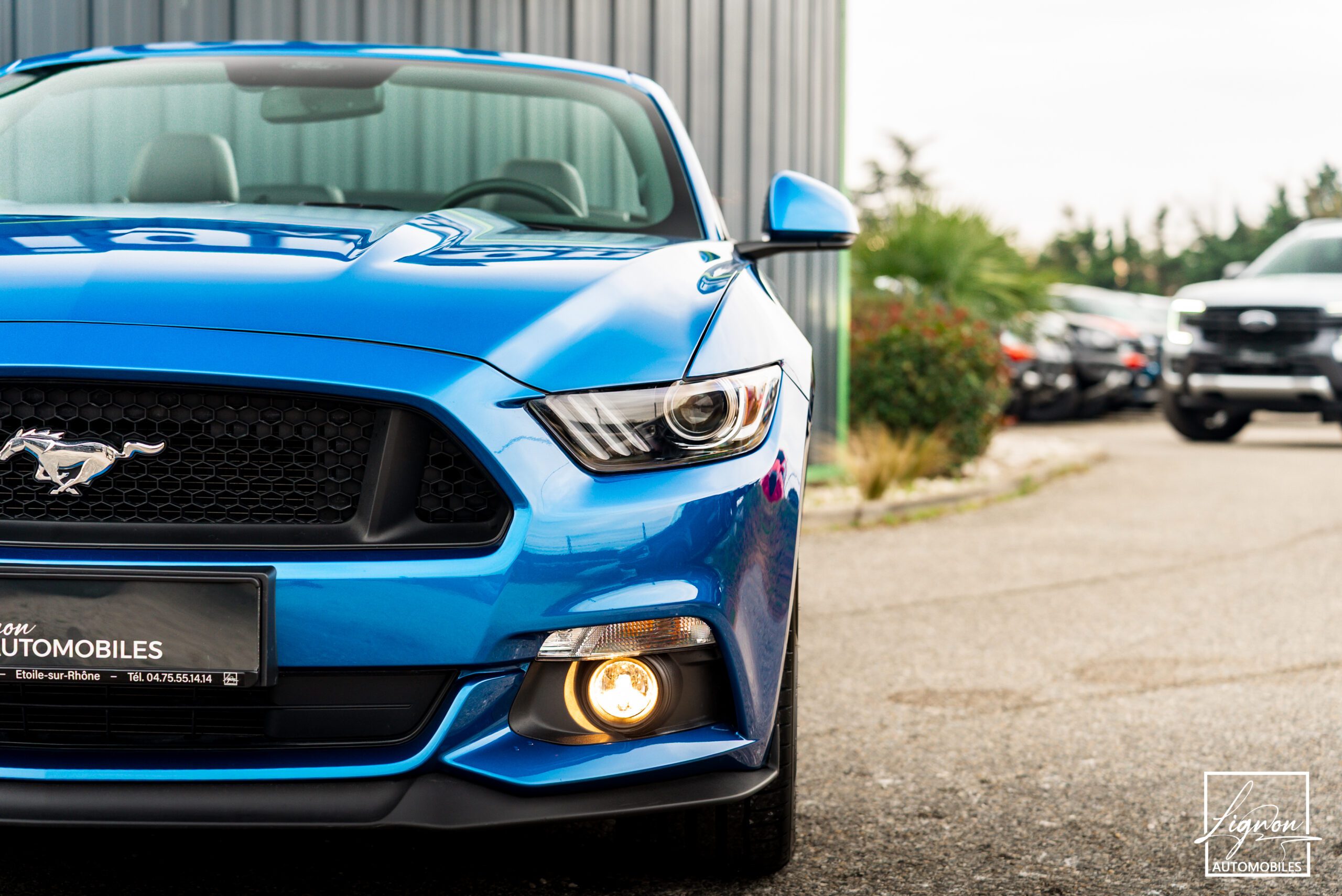 Photo FORD MUSTANG Cabriolet 5.0 v8 GT 421 ch BVA6 - Premium - 1er Main 9 800km seulement !
