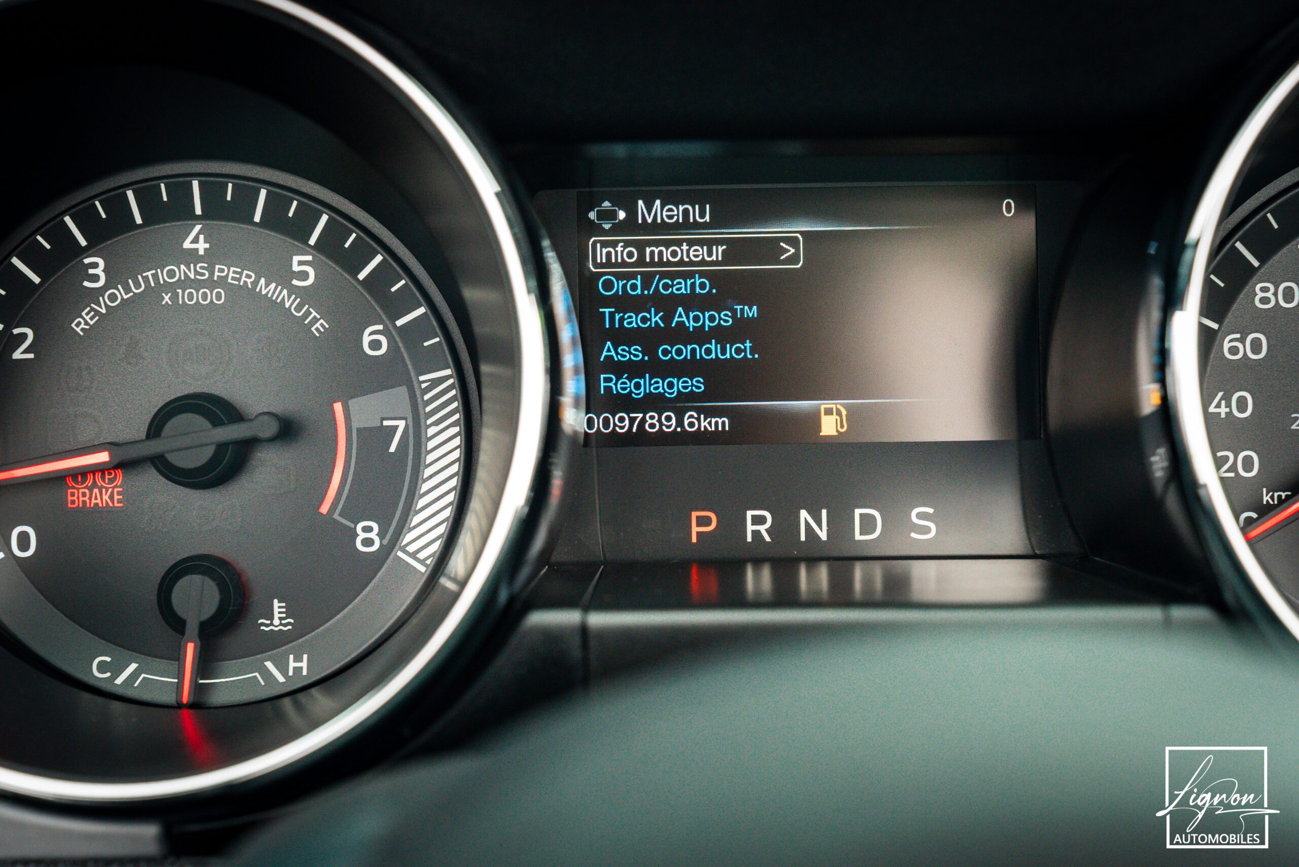 Photo FORD MUSTANG Cabriolet 5.0 v8 GT 421 ch BVA6 - Premium - 1er Main 9 800km seulement !