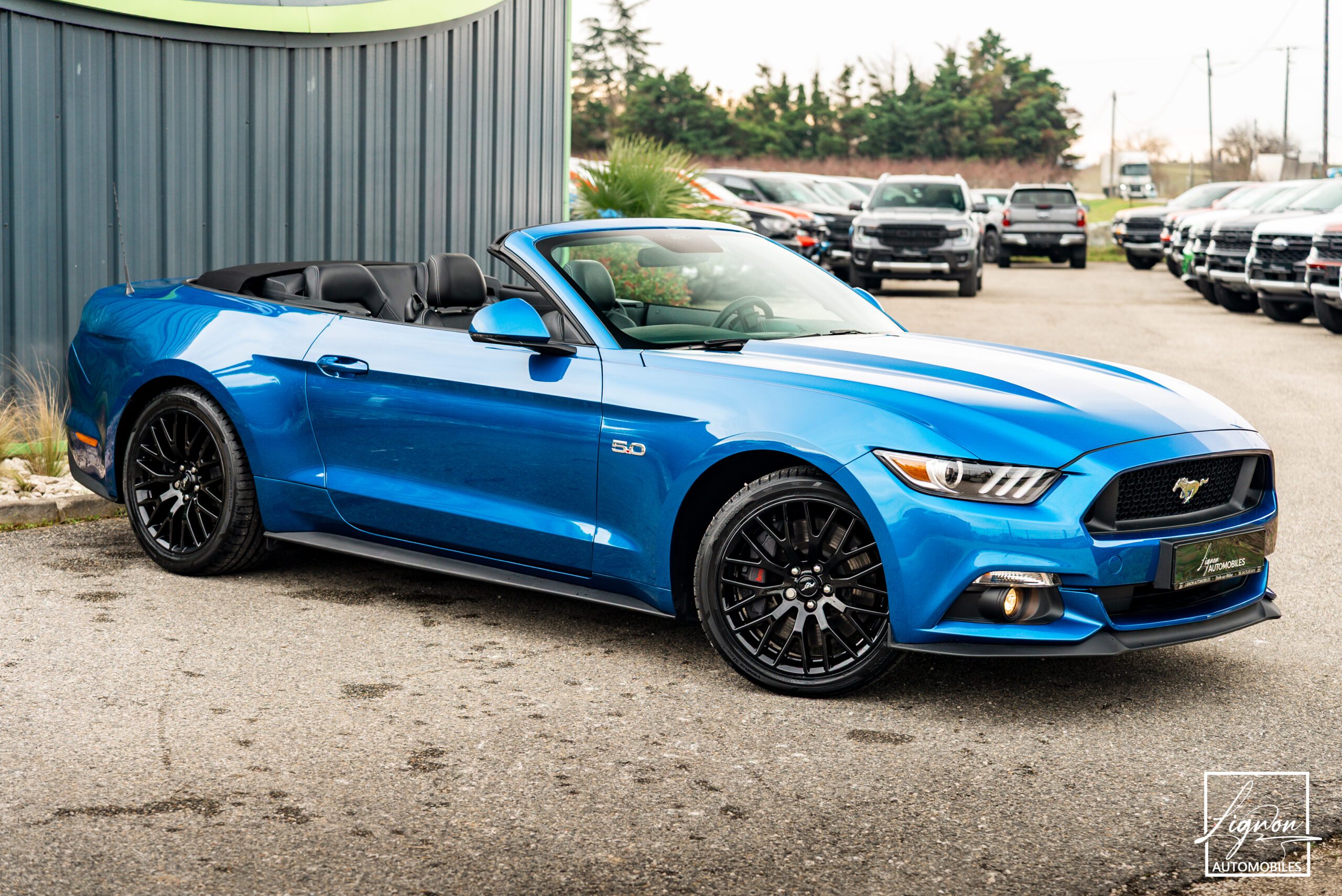 Photo FORD MUSTANG Cabriolet 5.0 v8 GT 421 ch BVA6 - Premium - 1er Main 9 800km seulement !