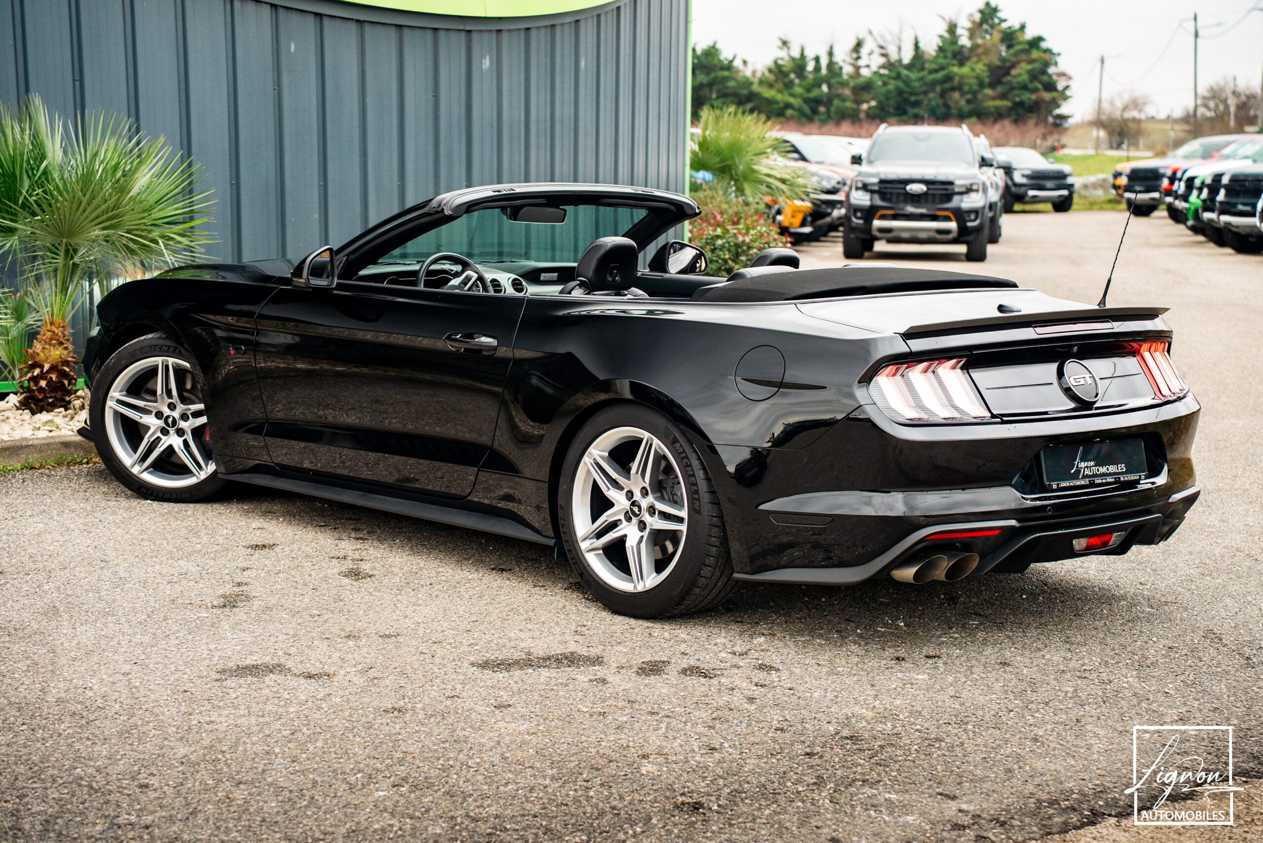 Photo Ford Mustang Cabriolet Gt 5.0l V8 450 Bva10 Premium - Magneride