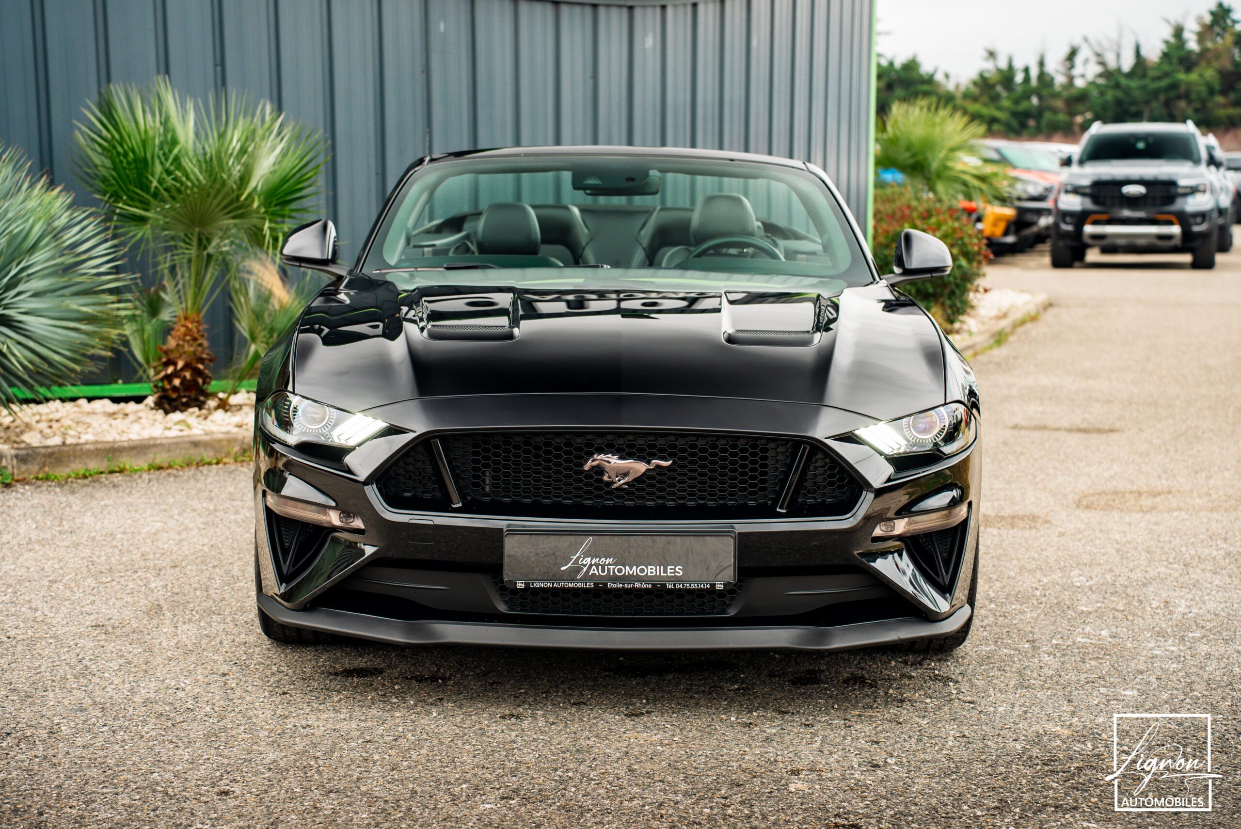 Photo Ford Mustang Cabriolet Gt 5.0l V8 450 Bva10 Premium - Magneride